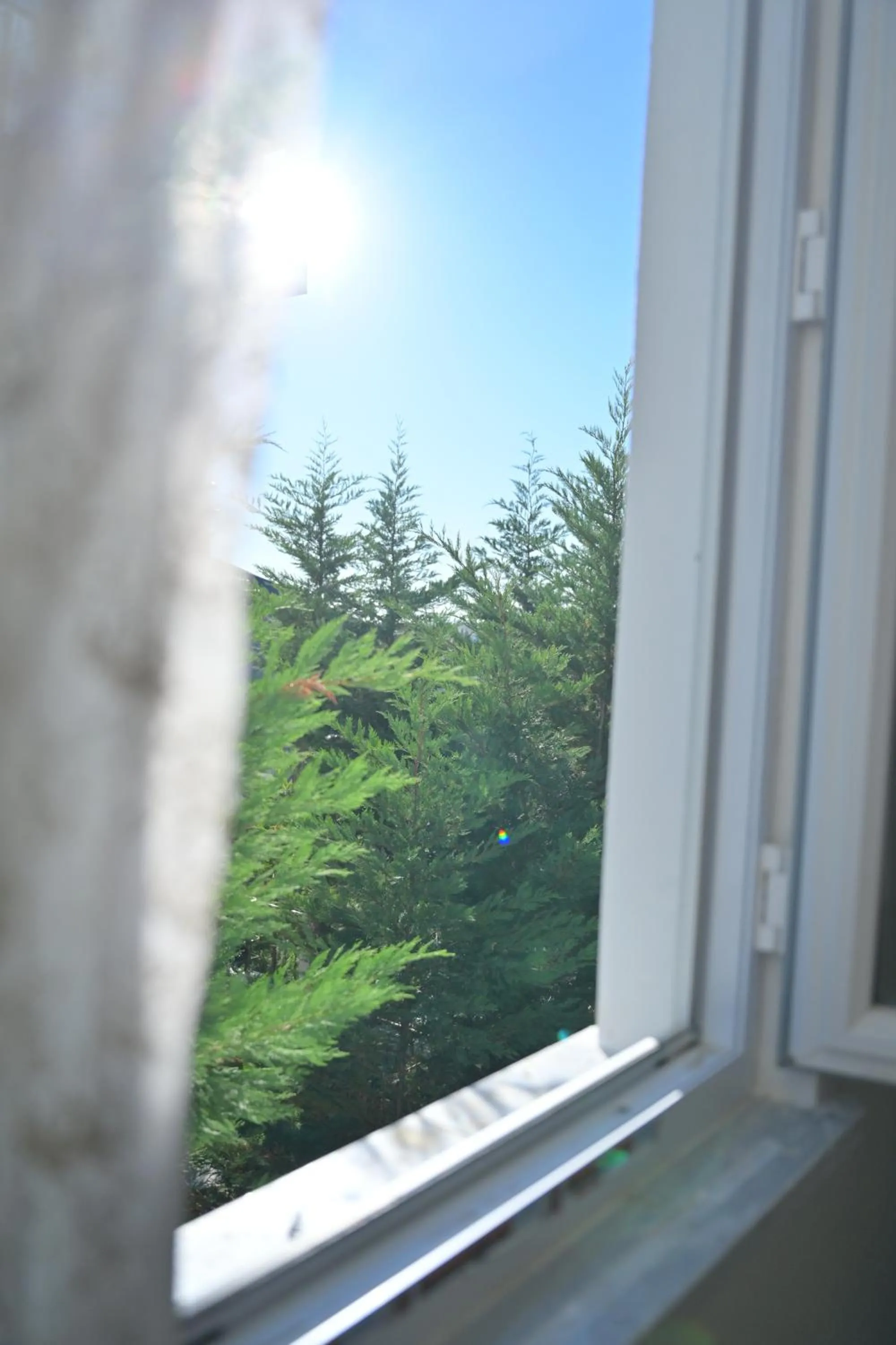 Garden, View in Ahmet teacher's villa, 6 minutes from the airport