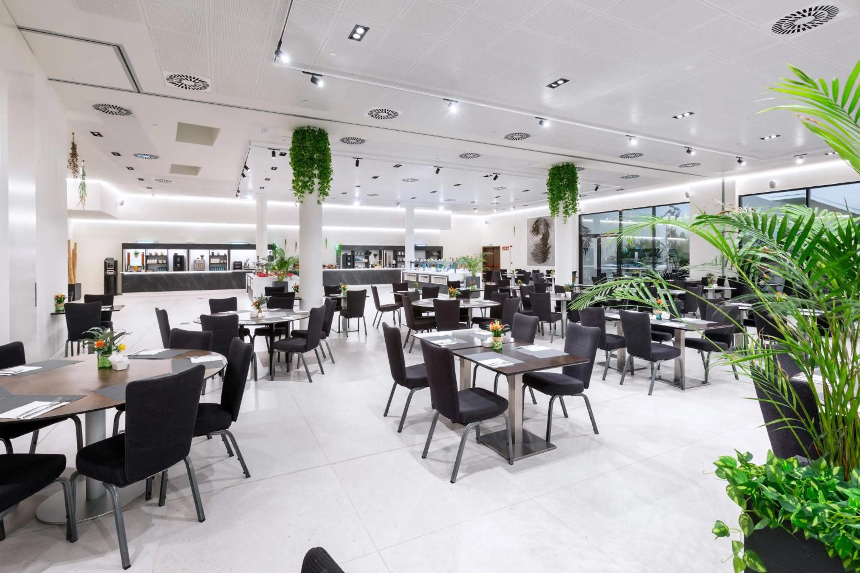 Breakfast in Alexandre Fira Congress