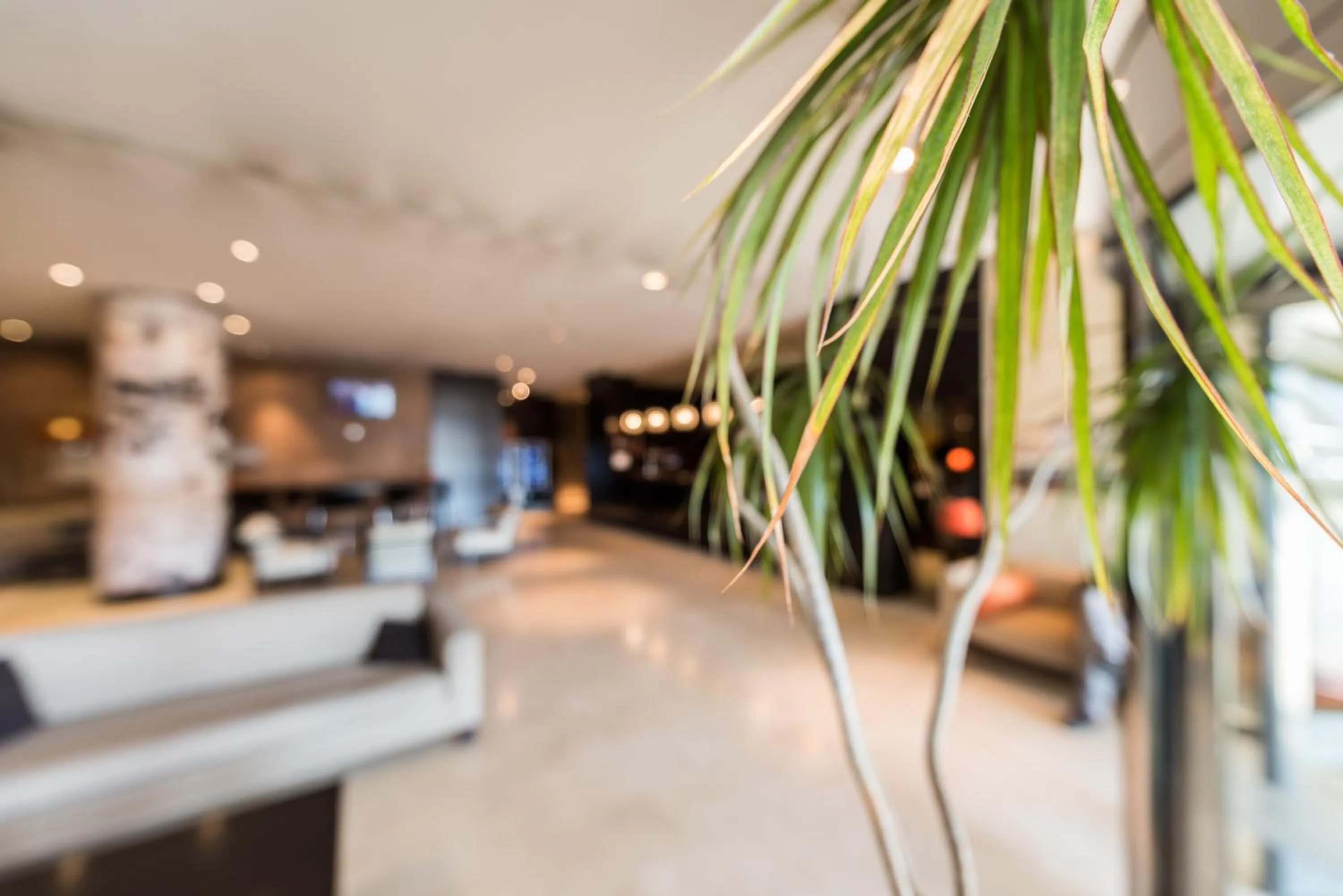 Lobby or reception in Hotel Mercader