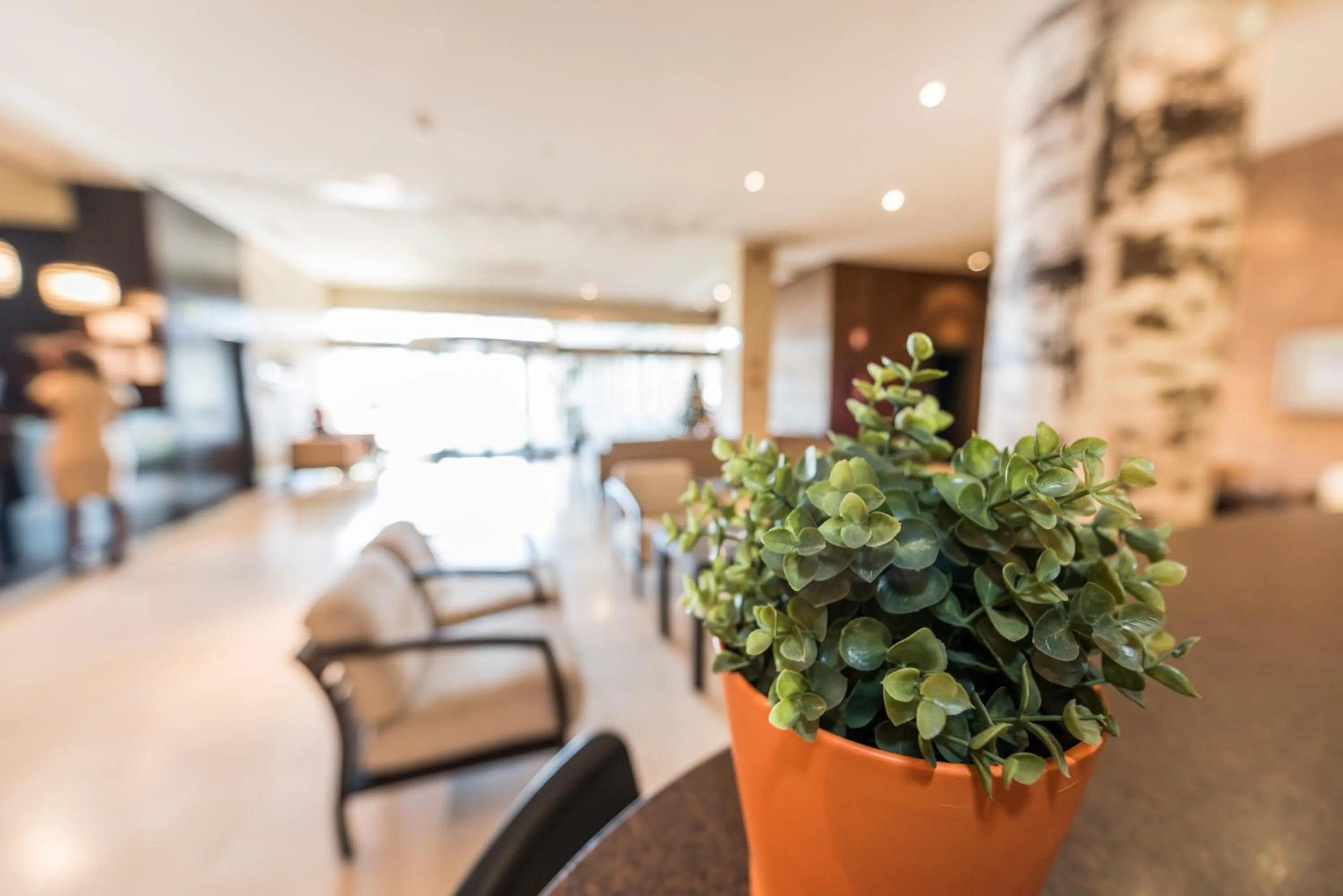 Lobby or reception in Hotel Mercader