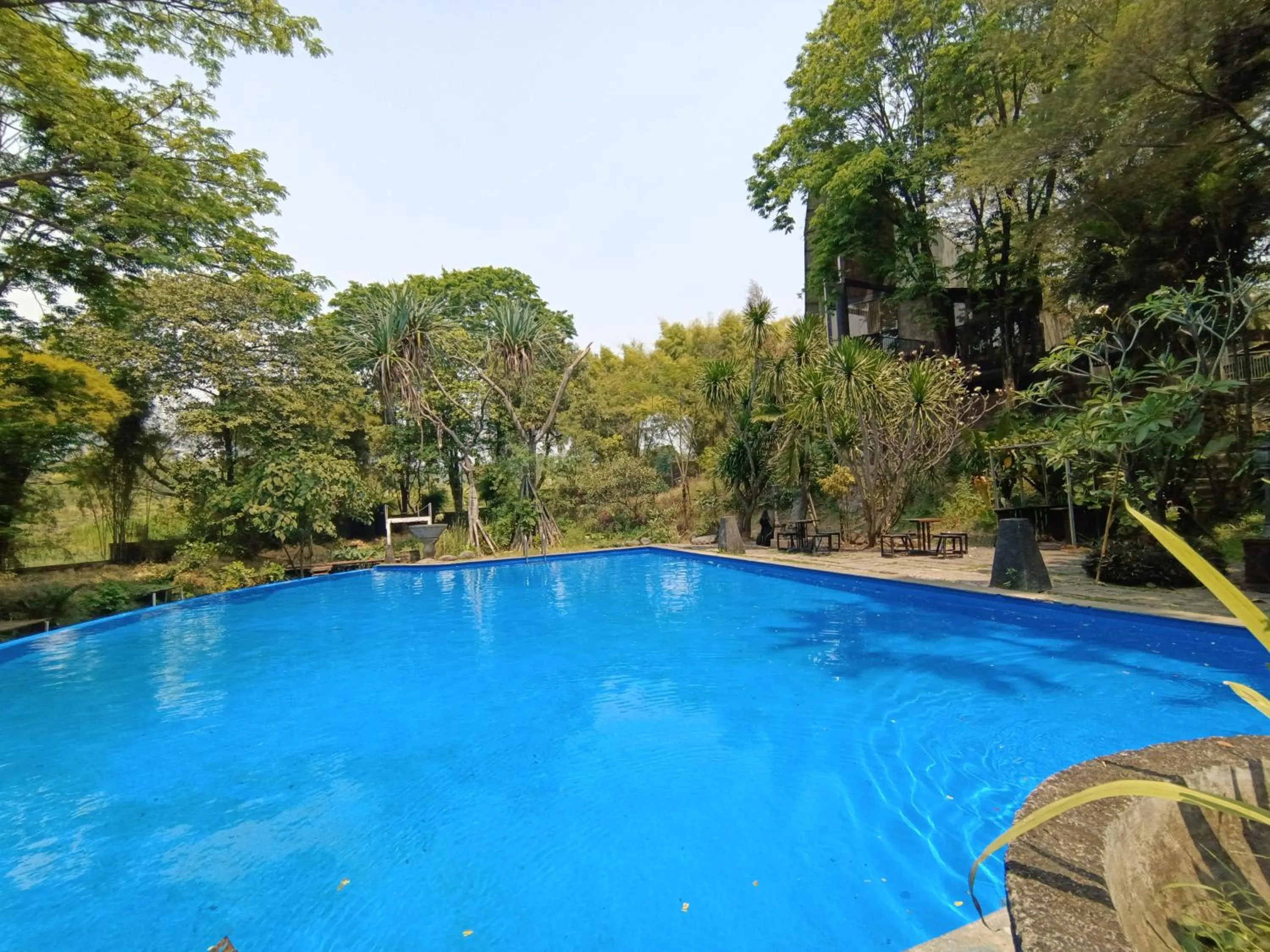 Swimming pool in Grand Mulia Sakinah Boutique Resort Pandaan