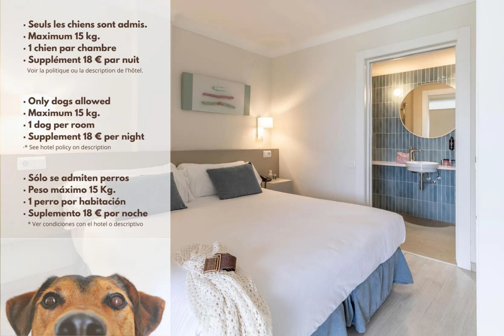 Pets, Bed in Prestige Mar y Sol