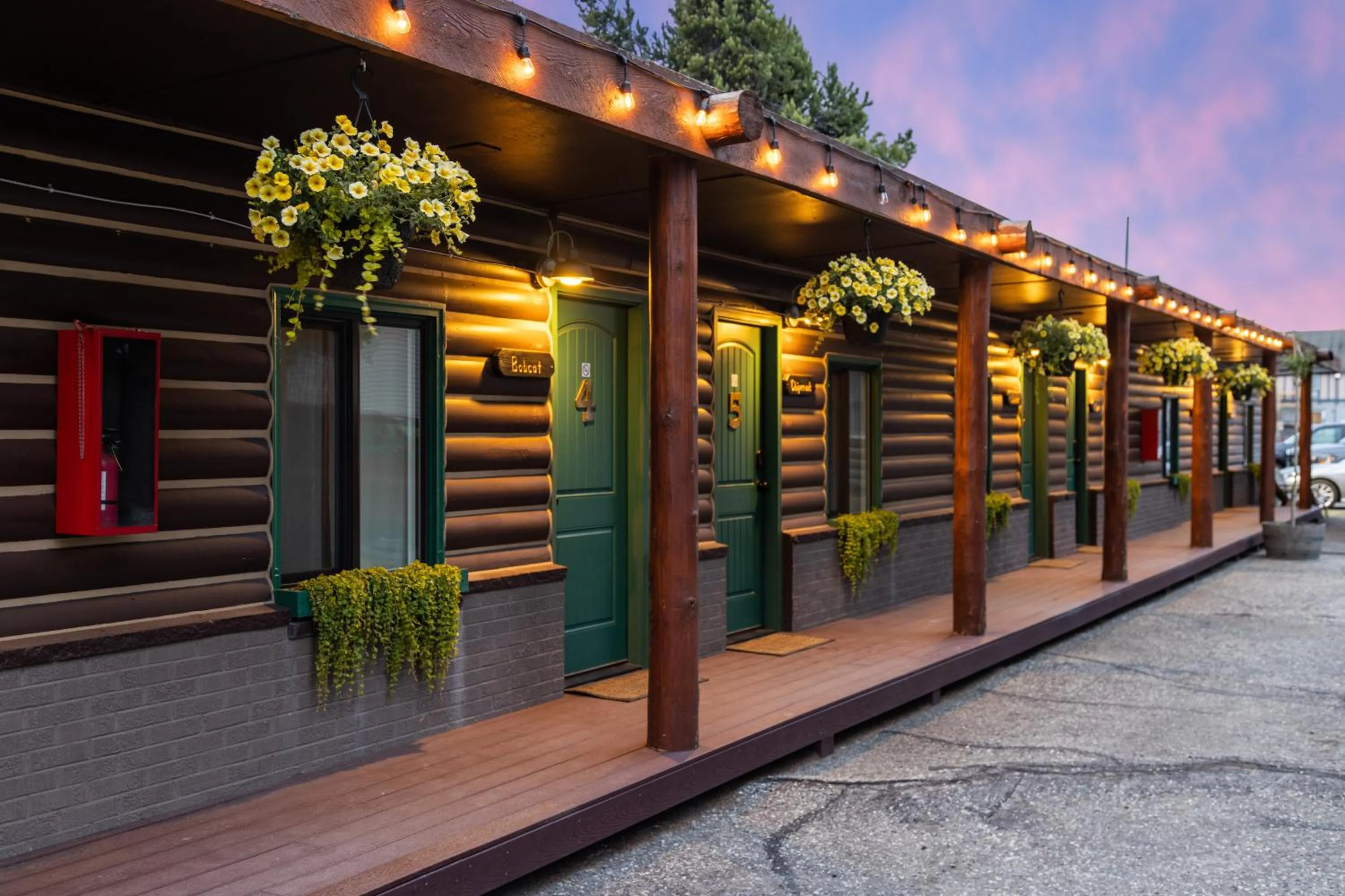 Property building in The Bucking Moose