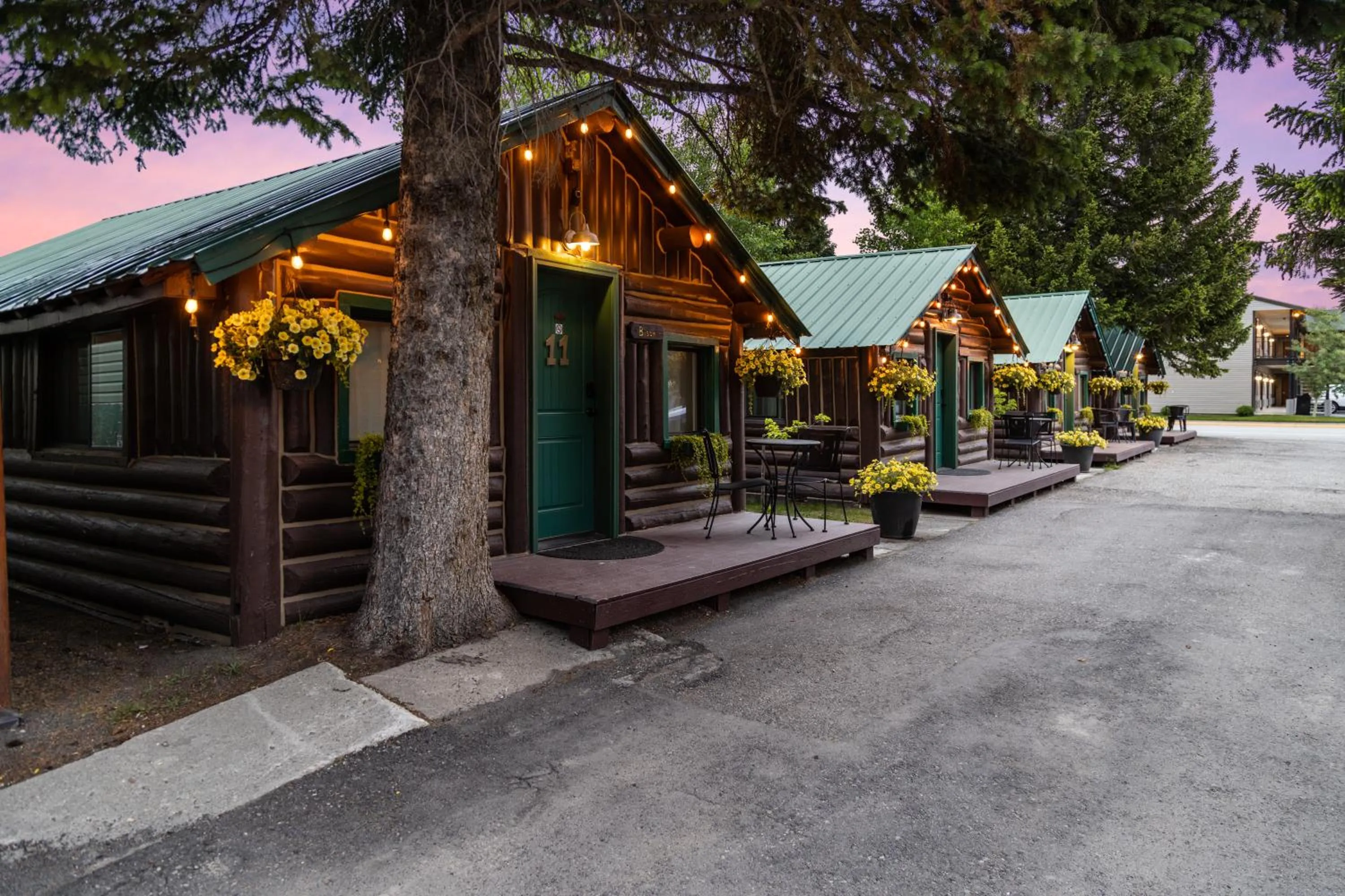 Property building in The Bucking Moose