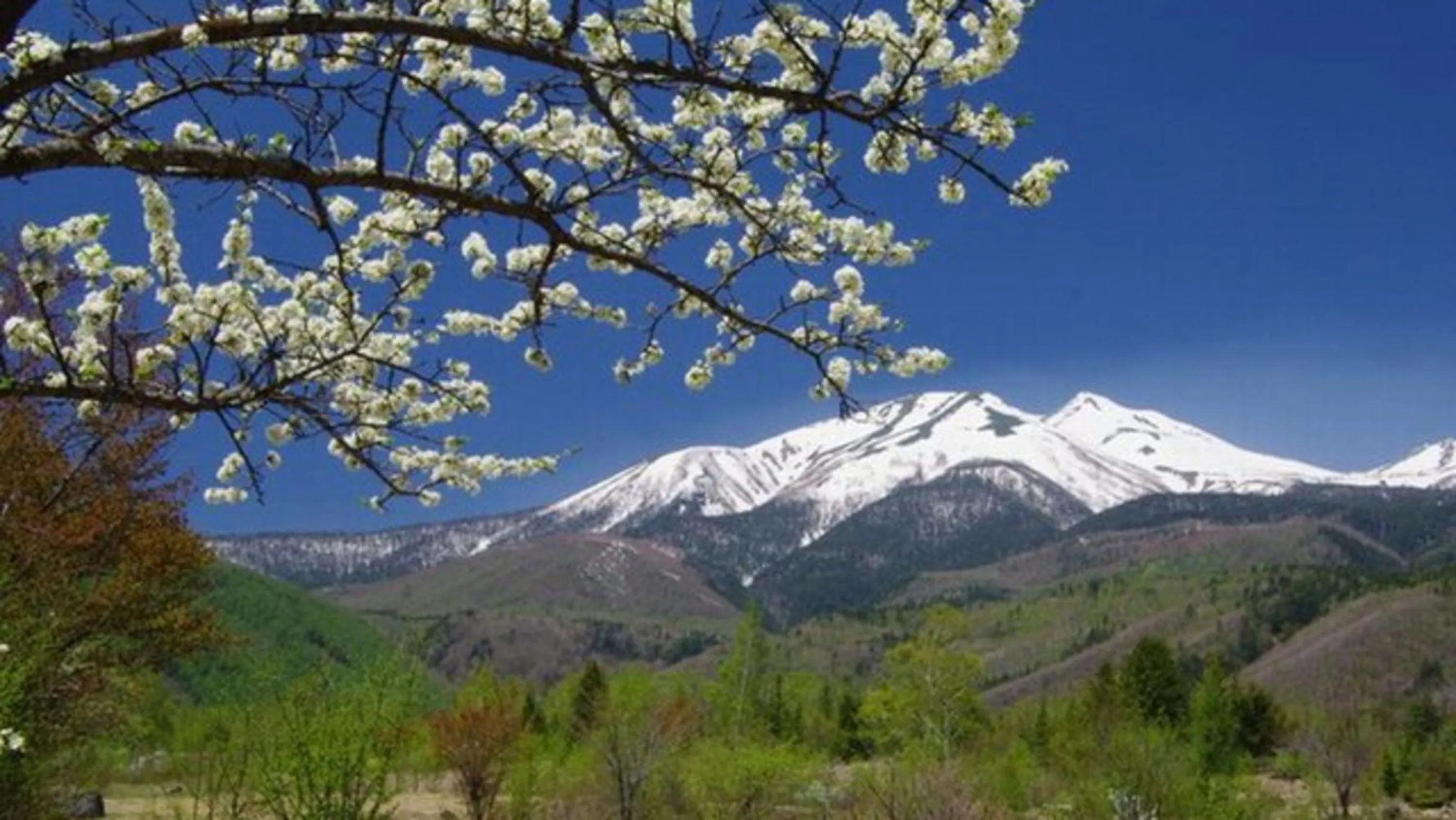 Nearby landmark in Kyukamura Norikura-Kogen