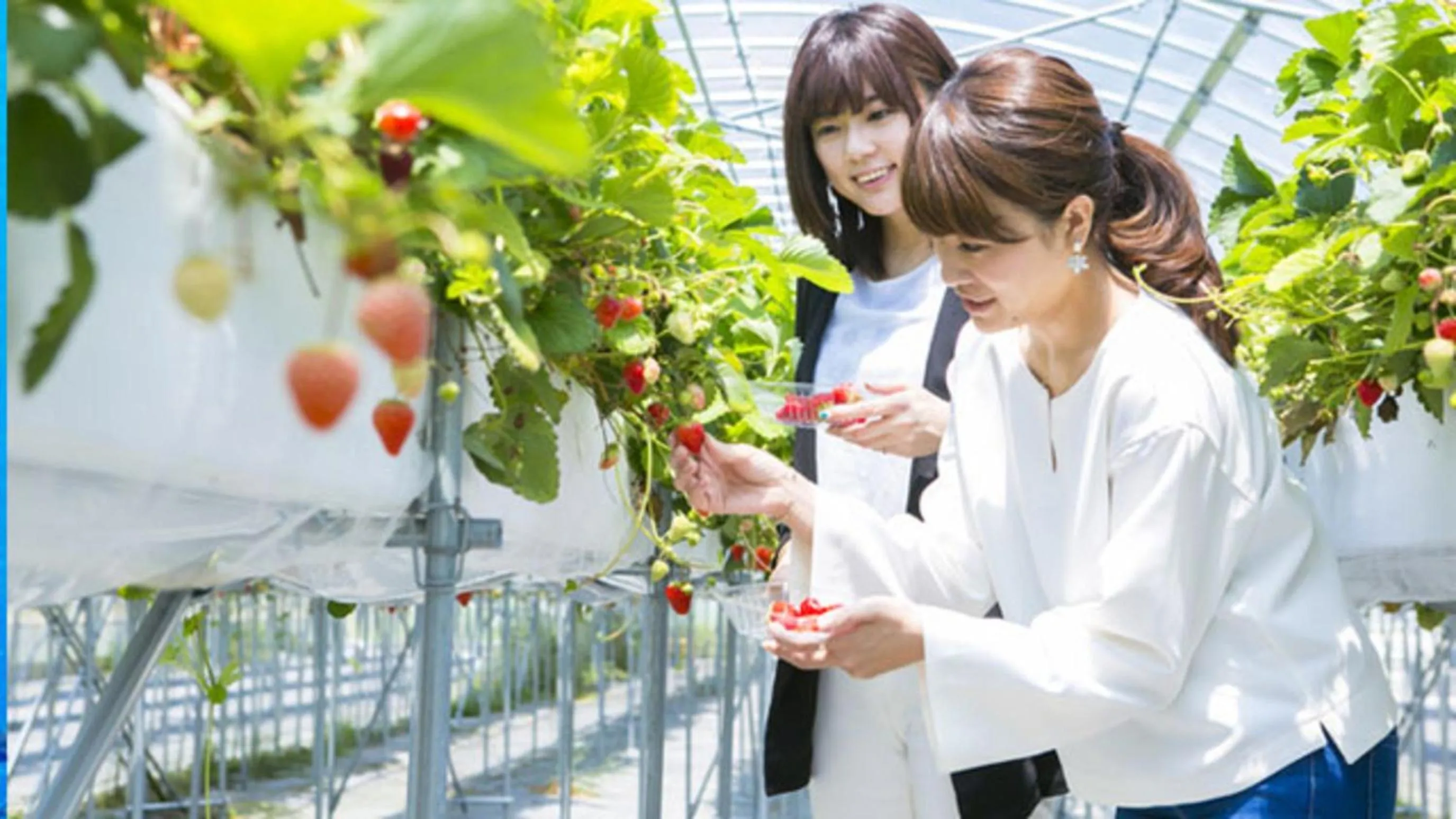 Kyukamura Minami-Izu