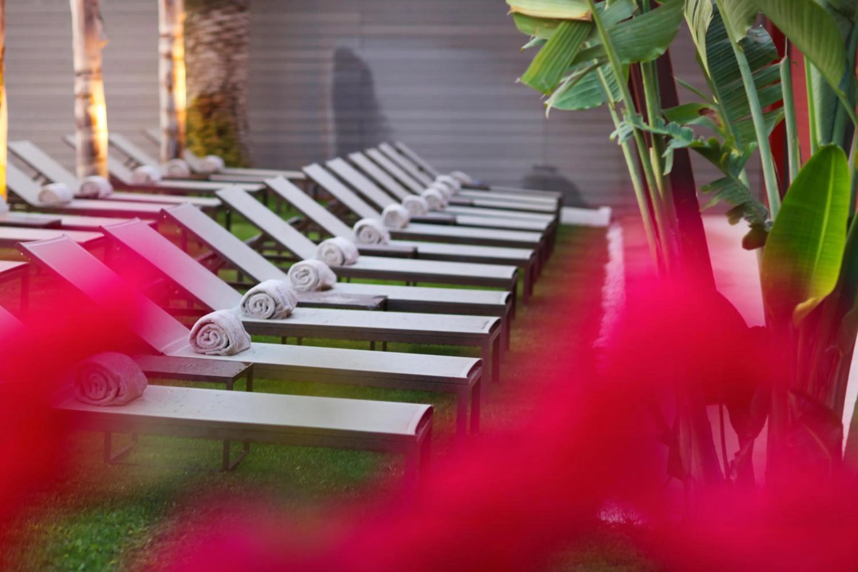 Other in Pure Salt Garonda - Adults Only