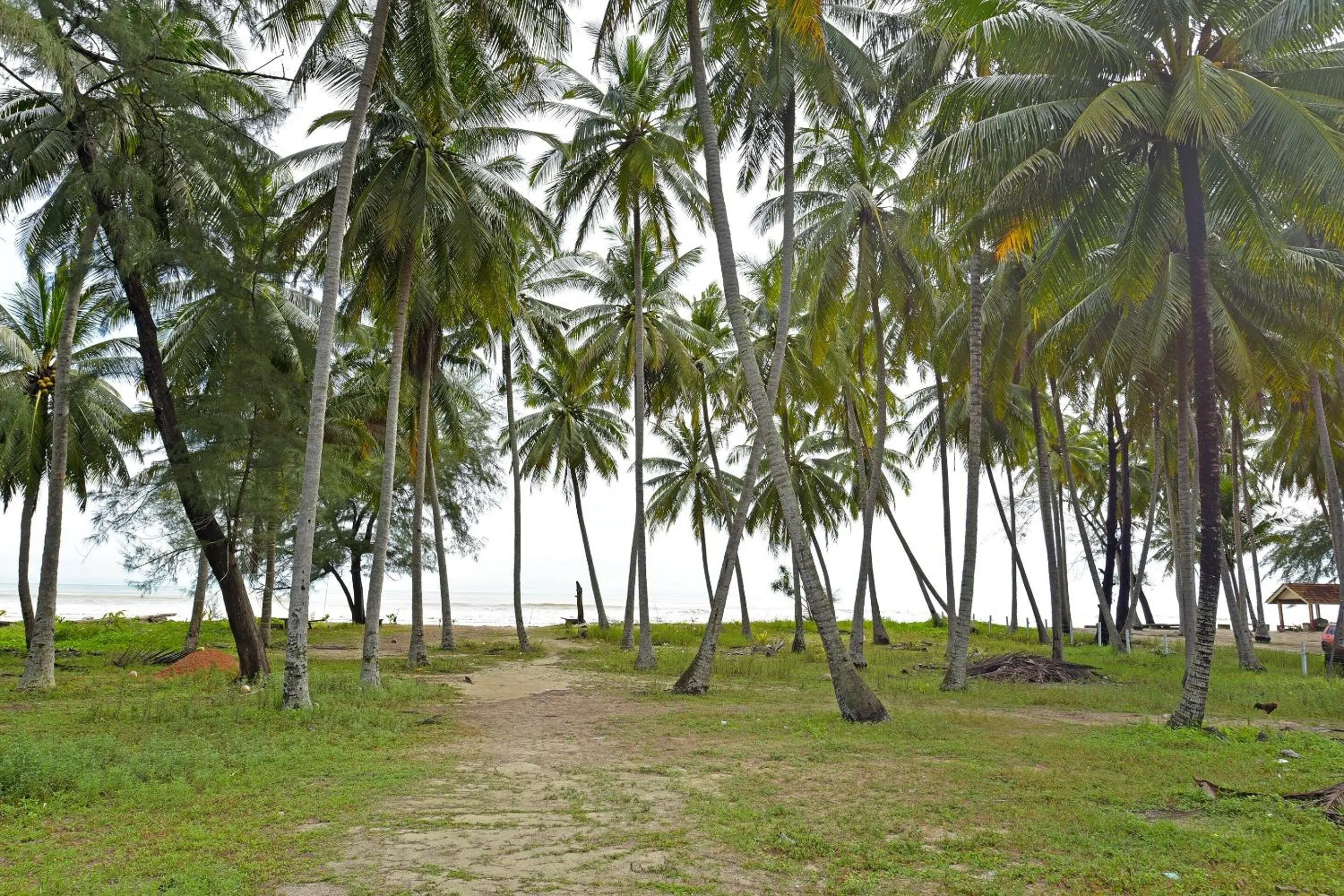 Lobby or reception in Capital O 90664 Rabi Hotel