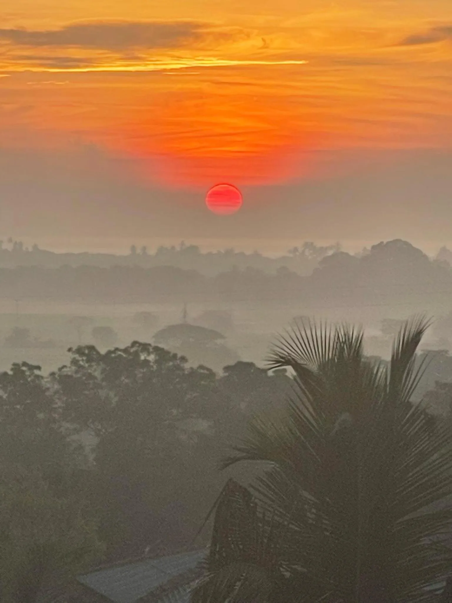 Natural landscape in D' Art VILLA RETREAT AND SPA