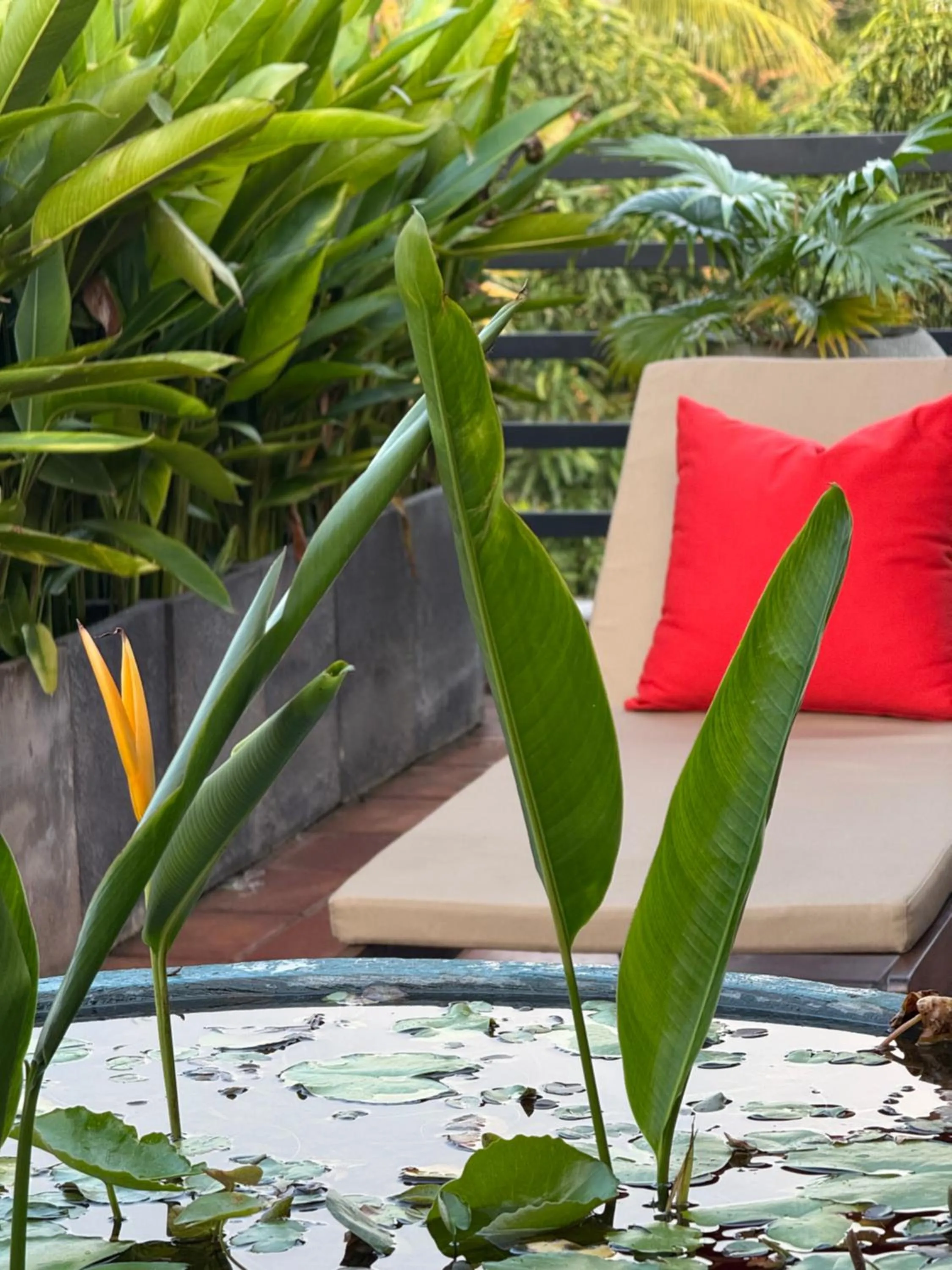 D' Art VILLA RETREAT AND SPA