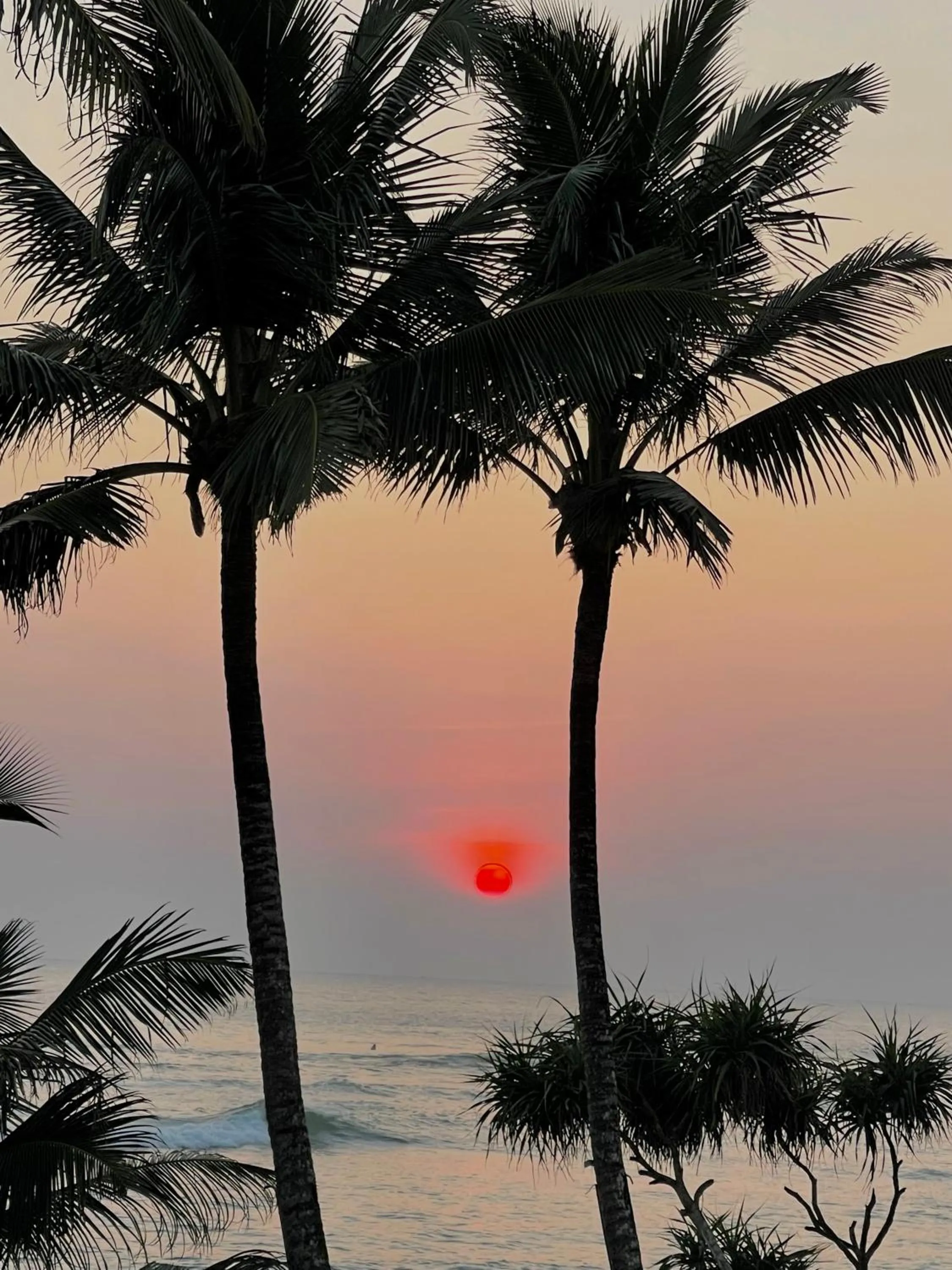 Natural landscape in D' Art VILLA RETREAT AND SPA