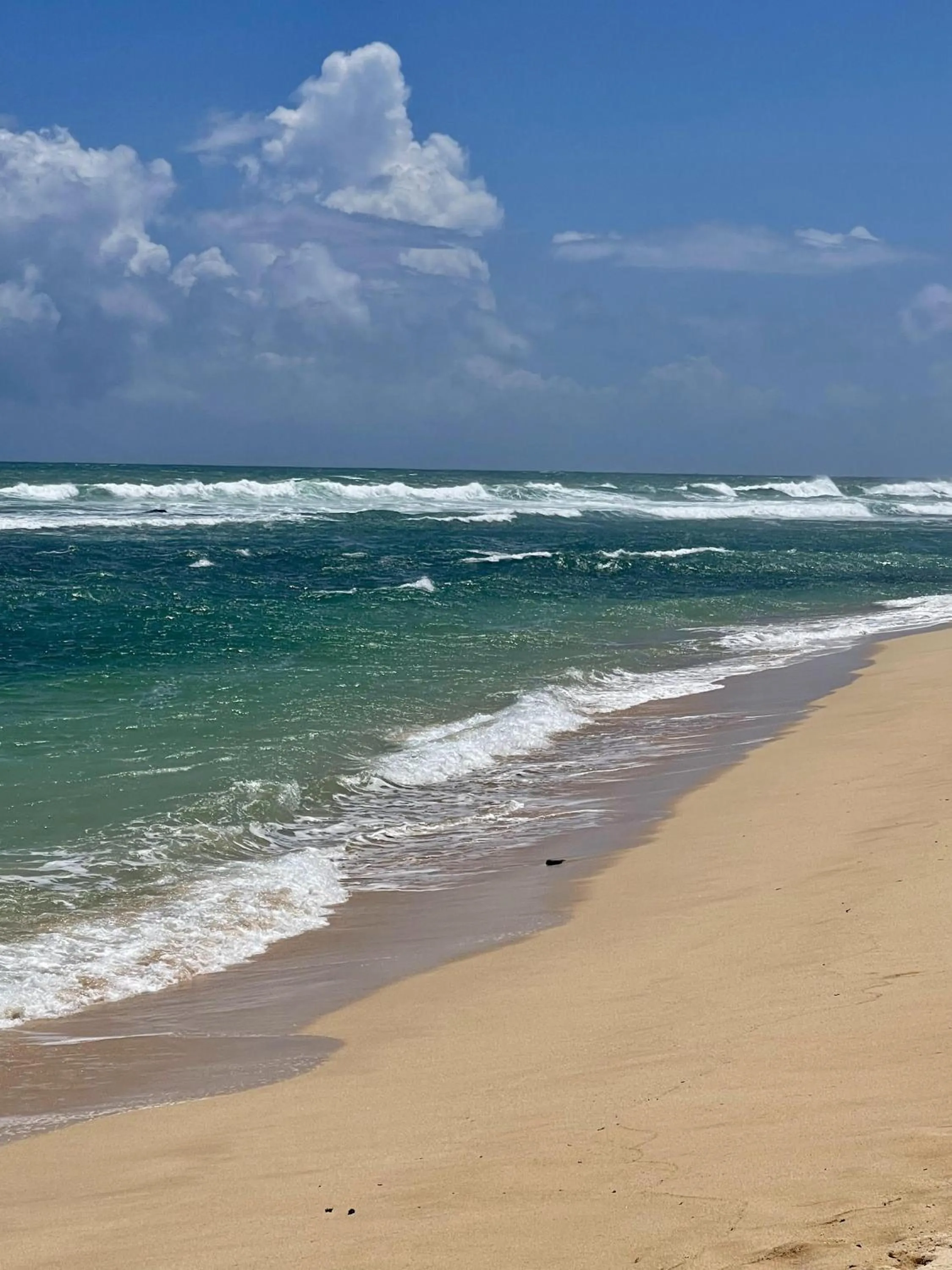 Nearby landmark in D' Art VILLA RETREAT AND SPA