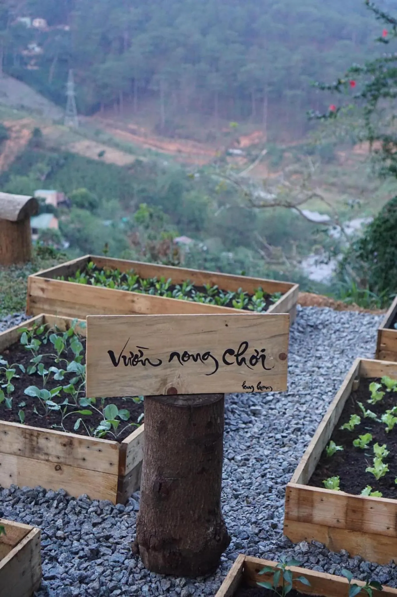 Garden in Lengkeng Da Lat Homestay