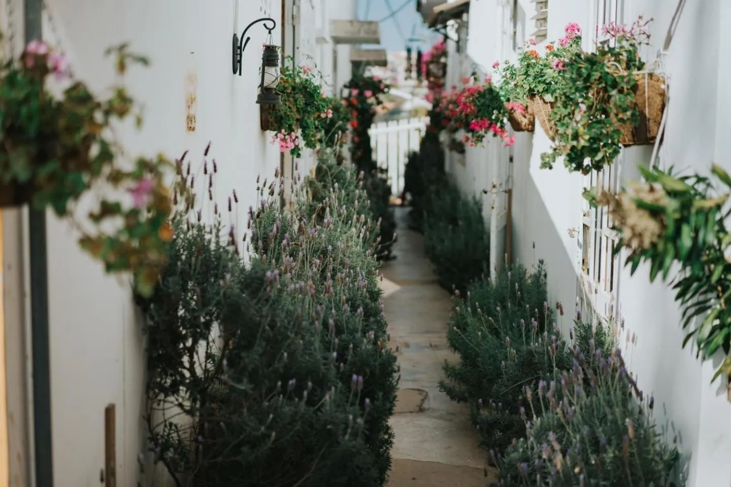 Day in Lengkeng Da Lat Homestay