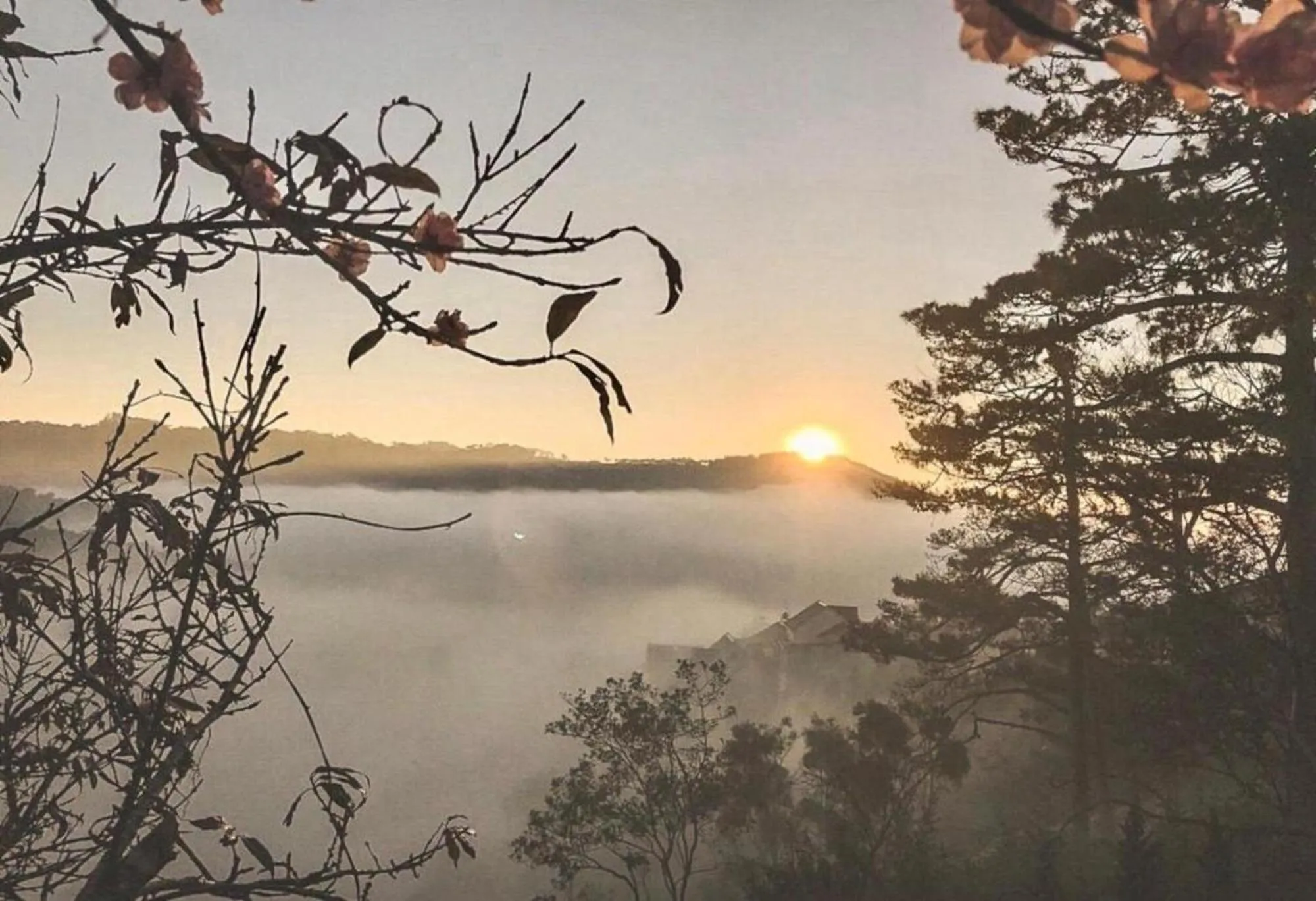 View (from property/room) in Lengkeng Da Lat Homestay