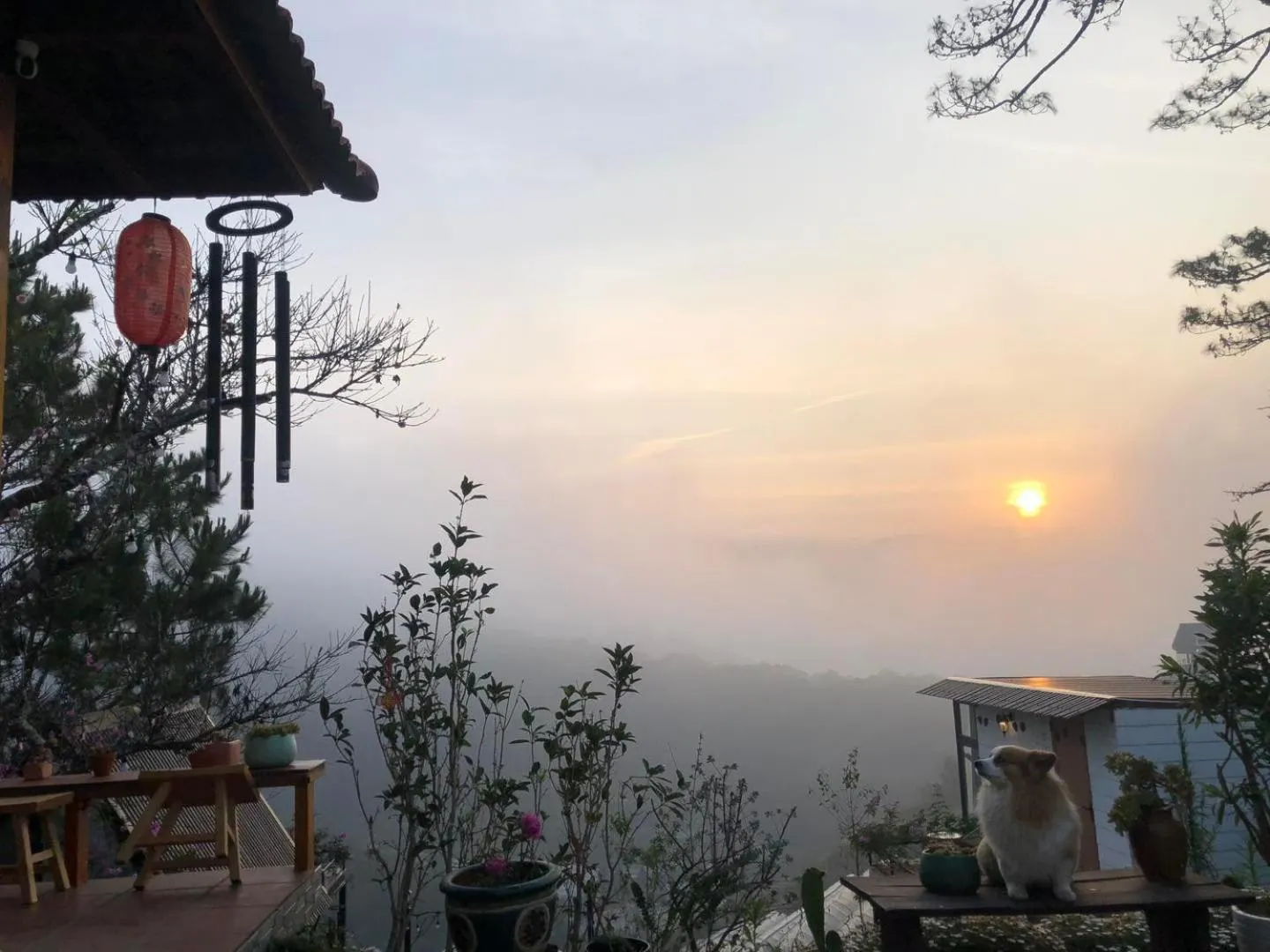 Natural landscape in Lengkeng Da Lat Homestay