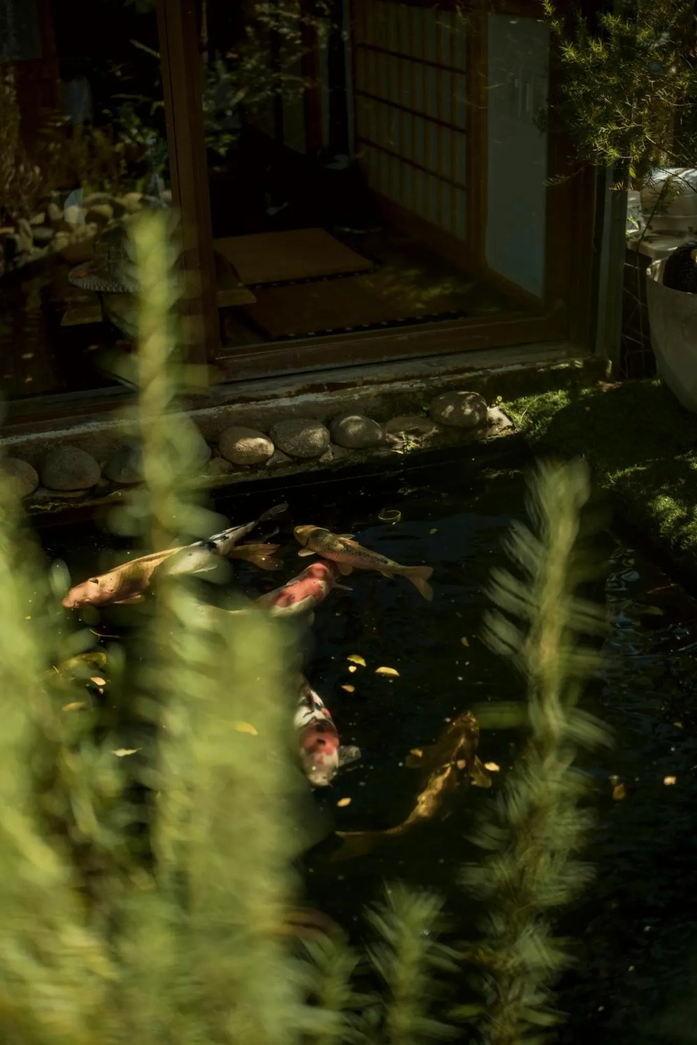 Natural landscape in Lengkeng Da Lat Homestay