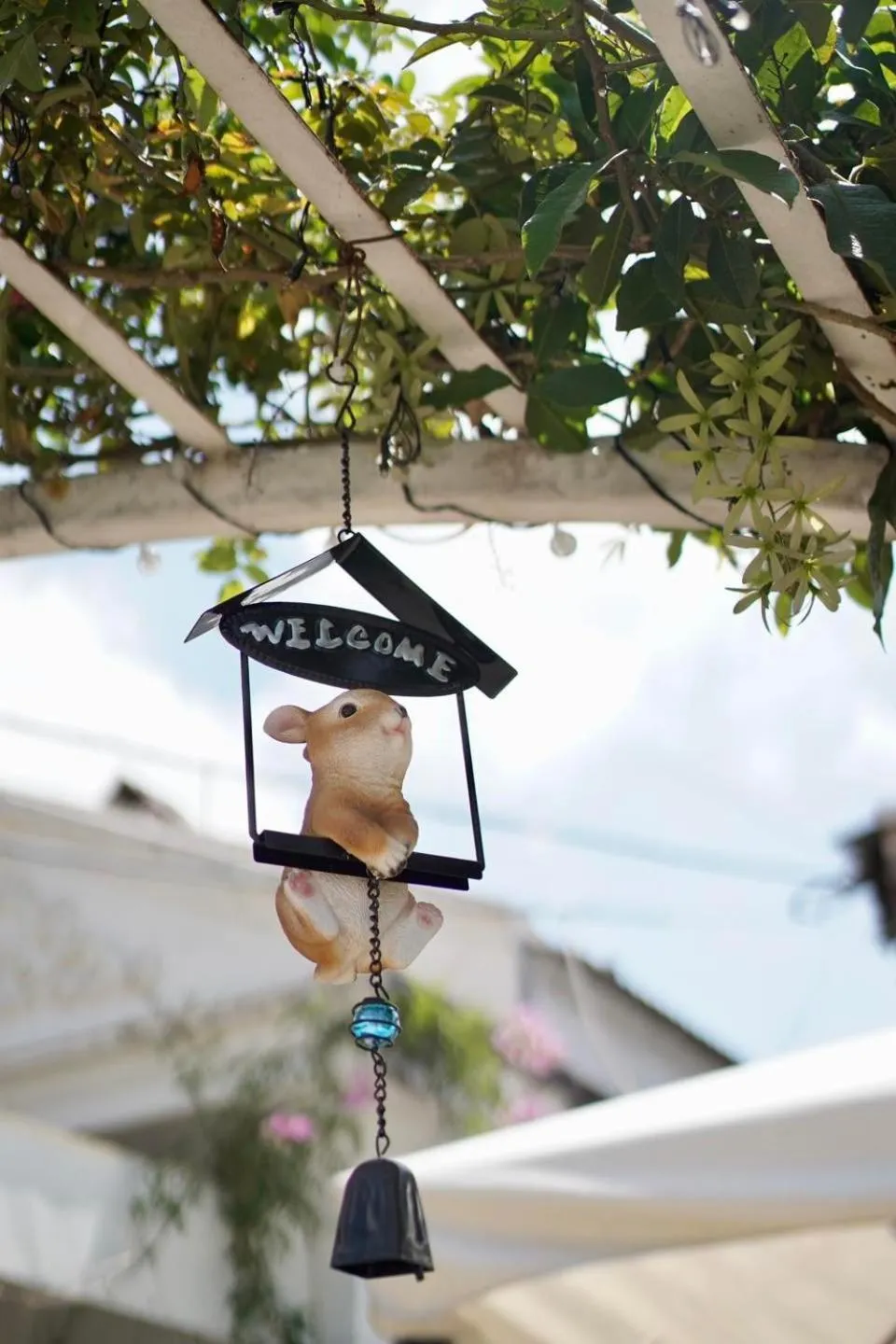 Day in Lengkeng Da Lat Homestay