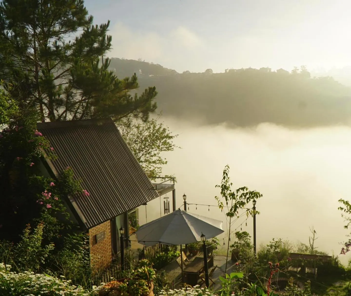 Spring in Lengkeng Da Lat Homestay