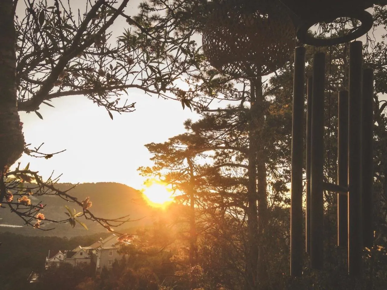 Day in Lengkeng Da Lat Homestay