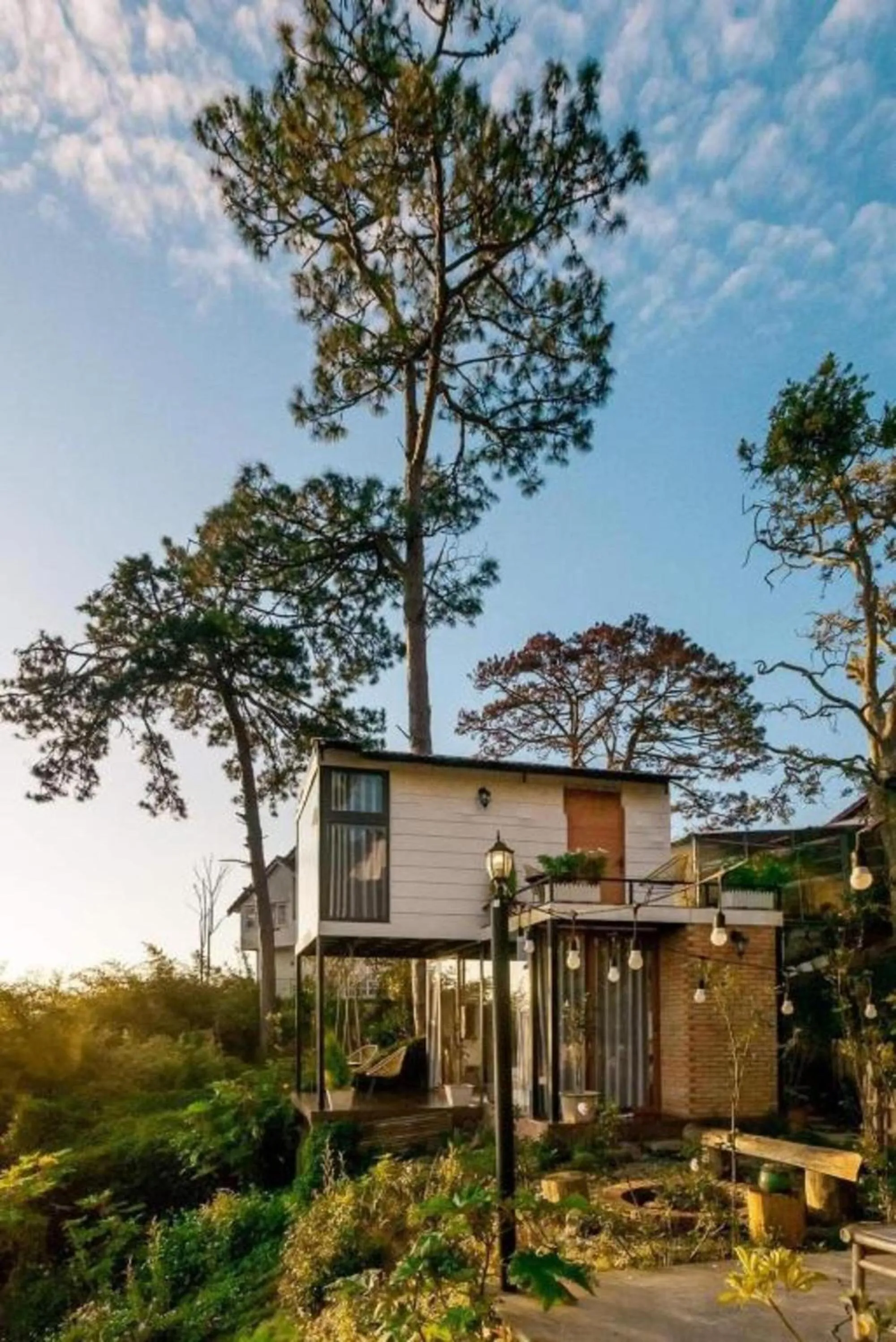 Property building in Lengkeng Da Lat Homestay