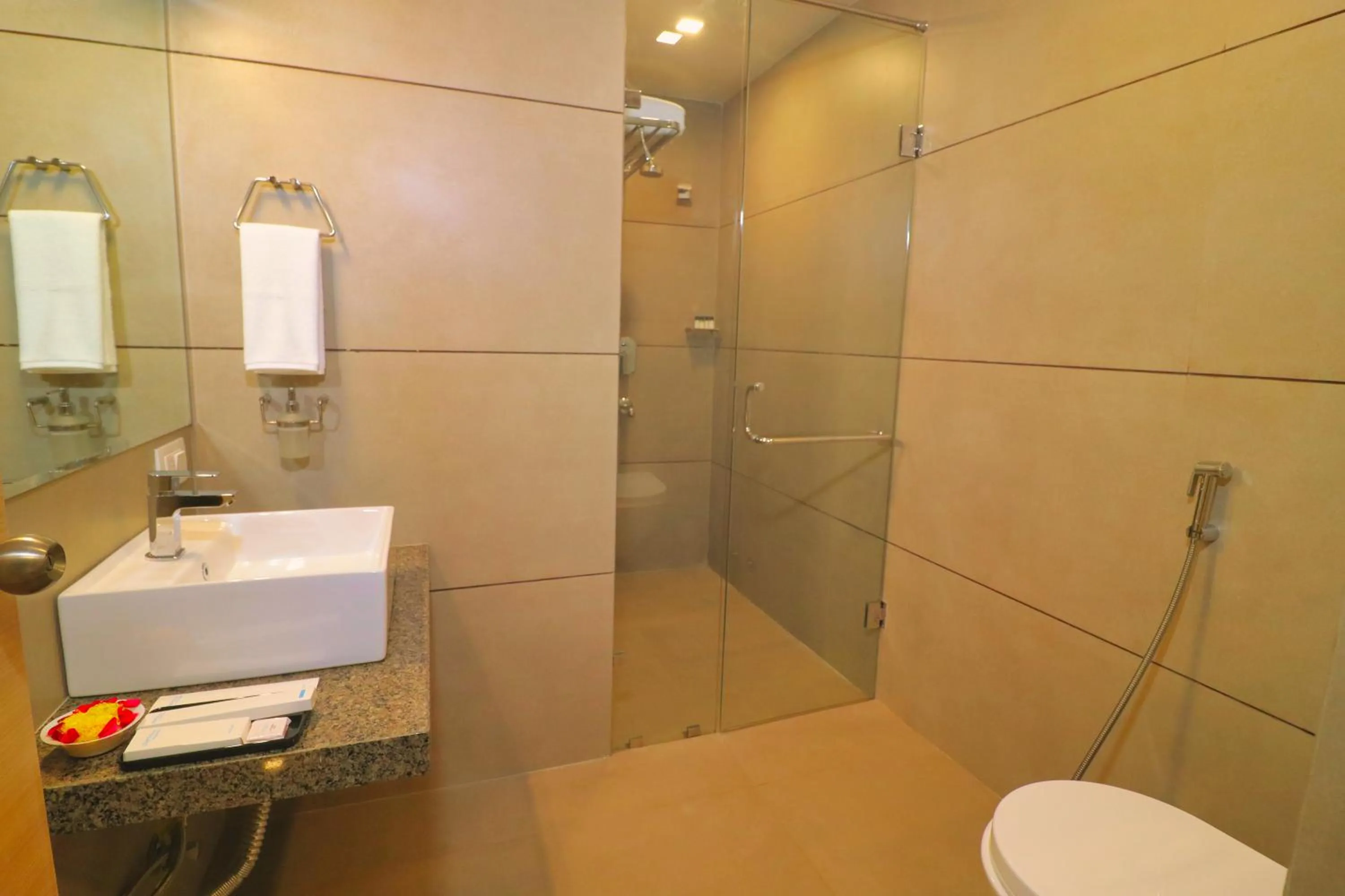 Toilet in Clarks Inn Express Udaipur