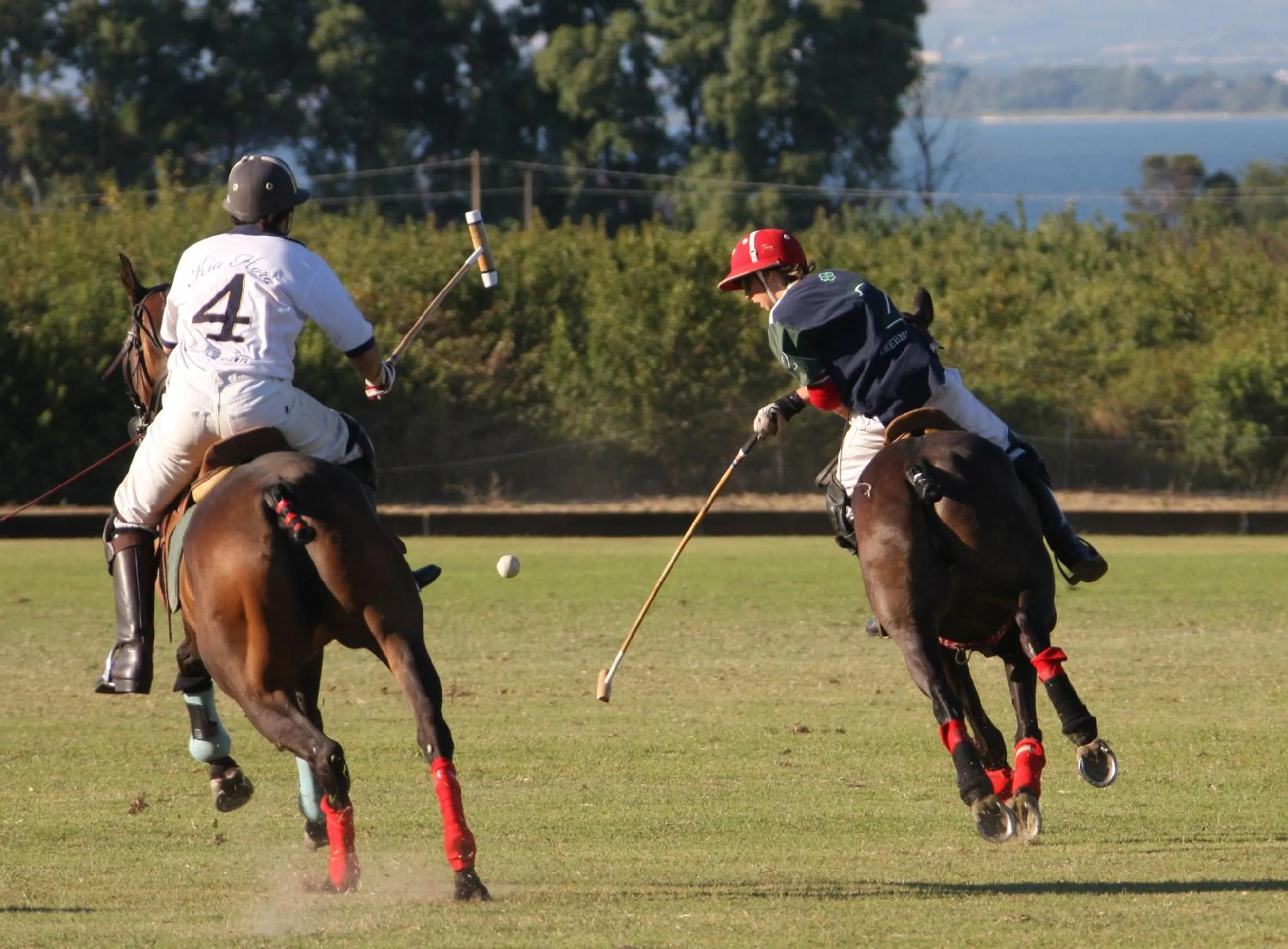 Sports in Finca Monasterio