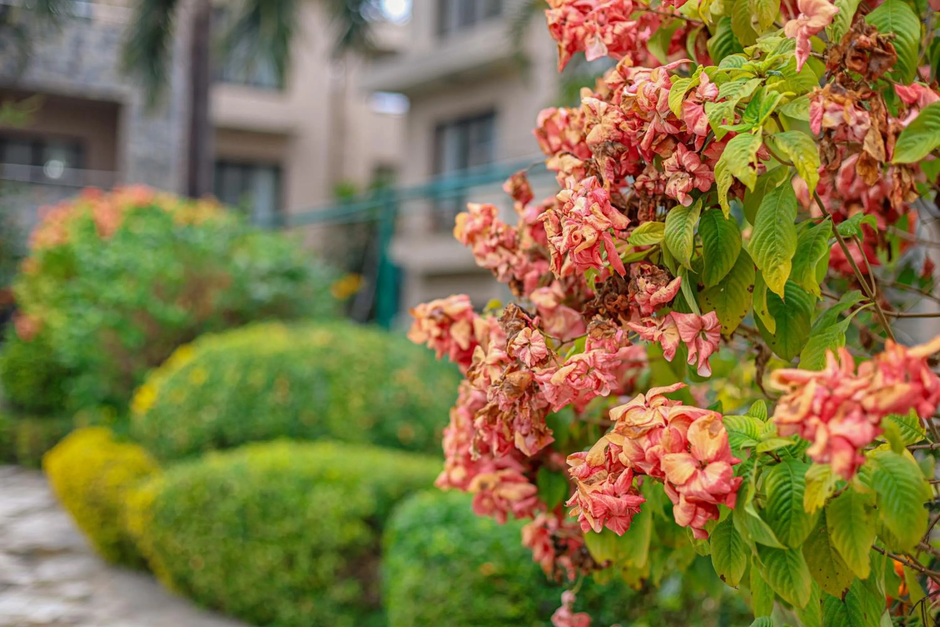 Bharatpur Garden Resort