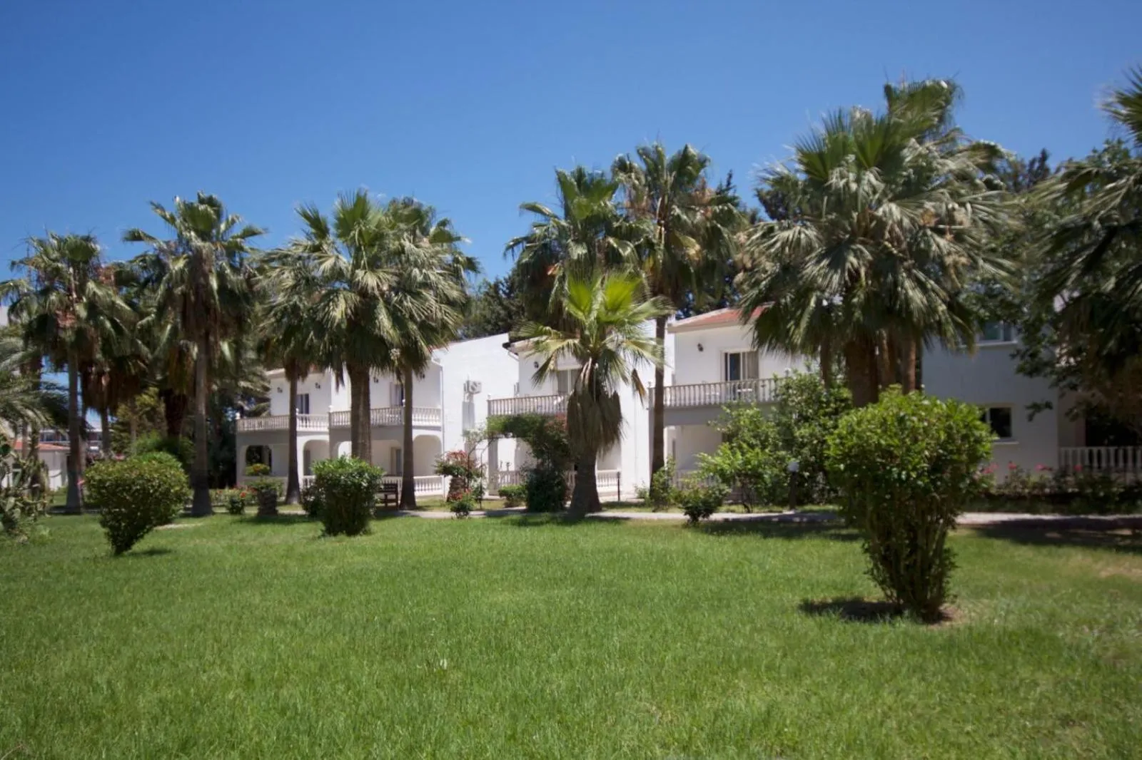 Garden in Mountain View Hotel