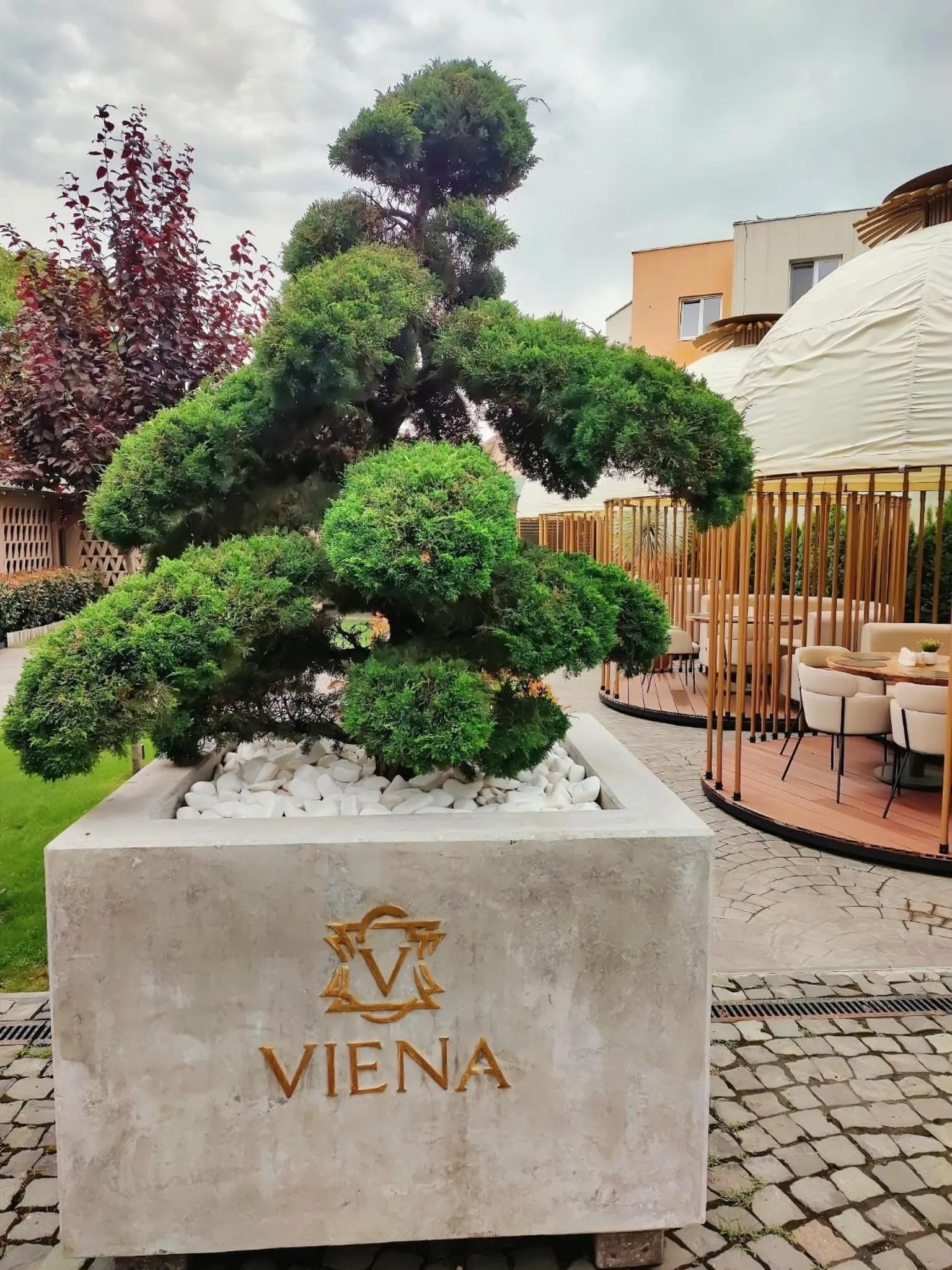 Balcony/Terrace in HOTEL VIENA