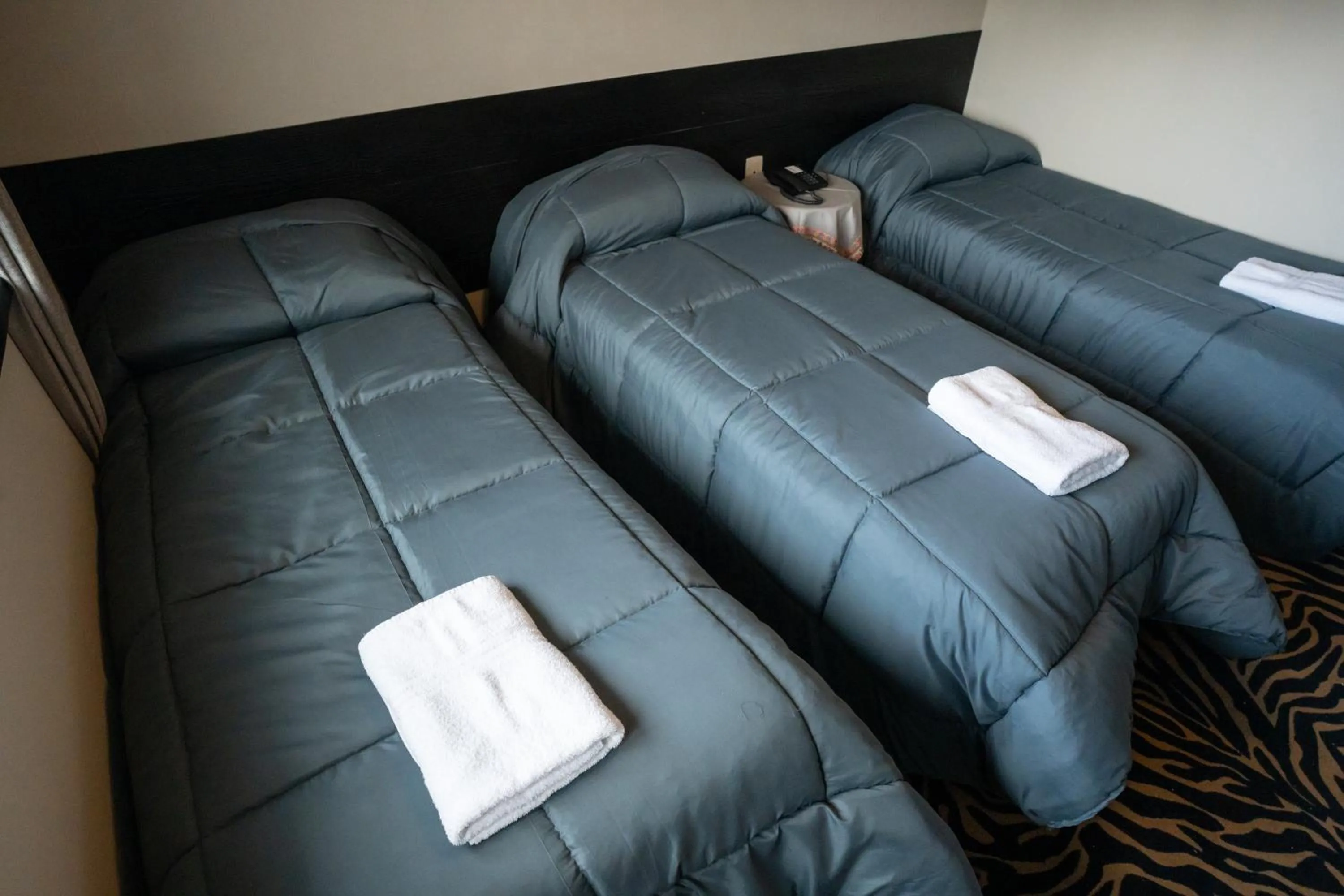 Hotel Park Bariloche