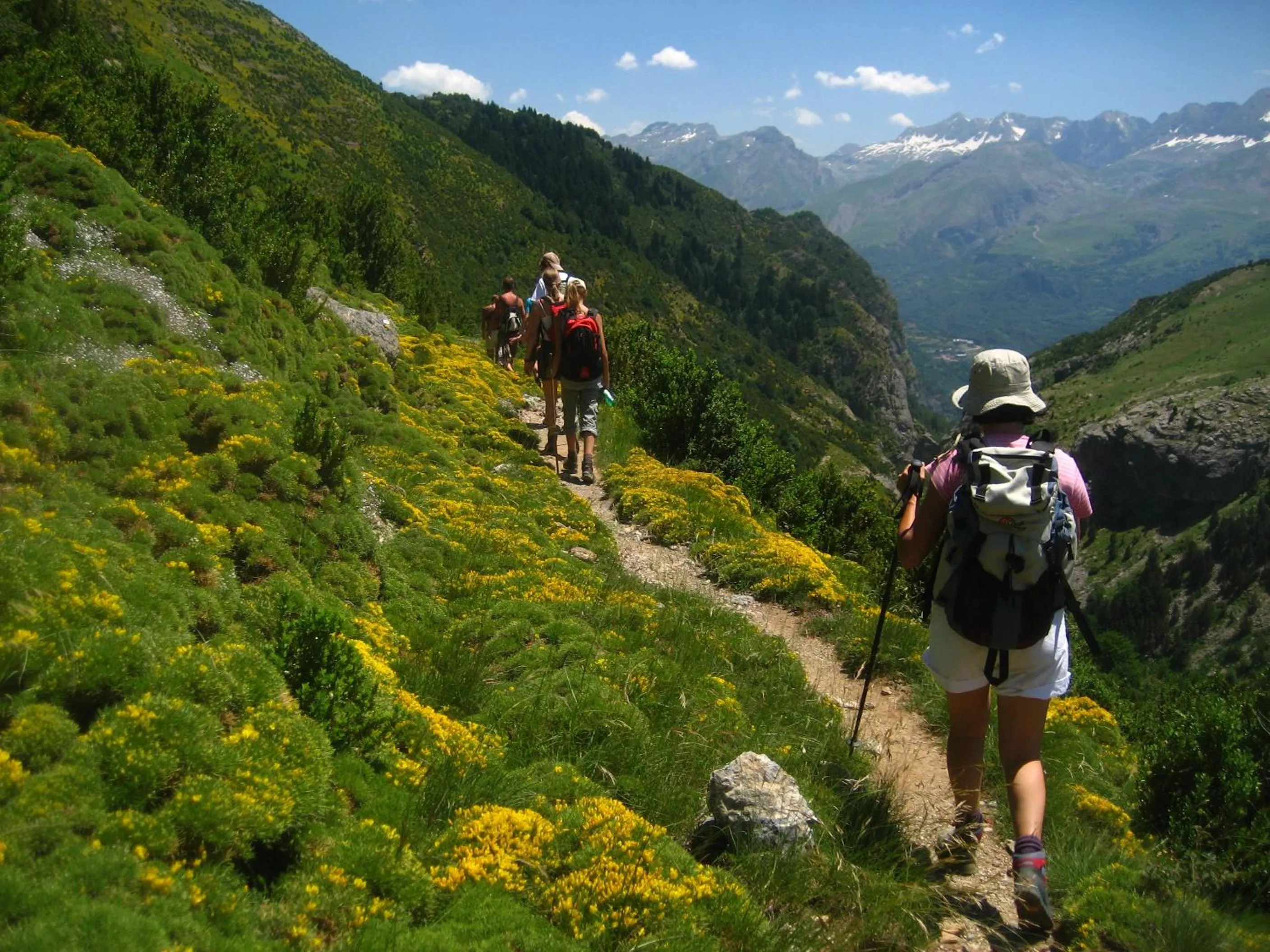 Summer in Hotel Nievesol