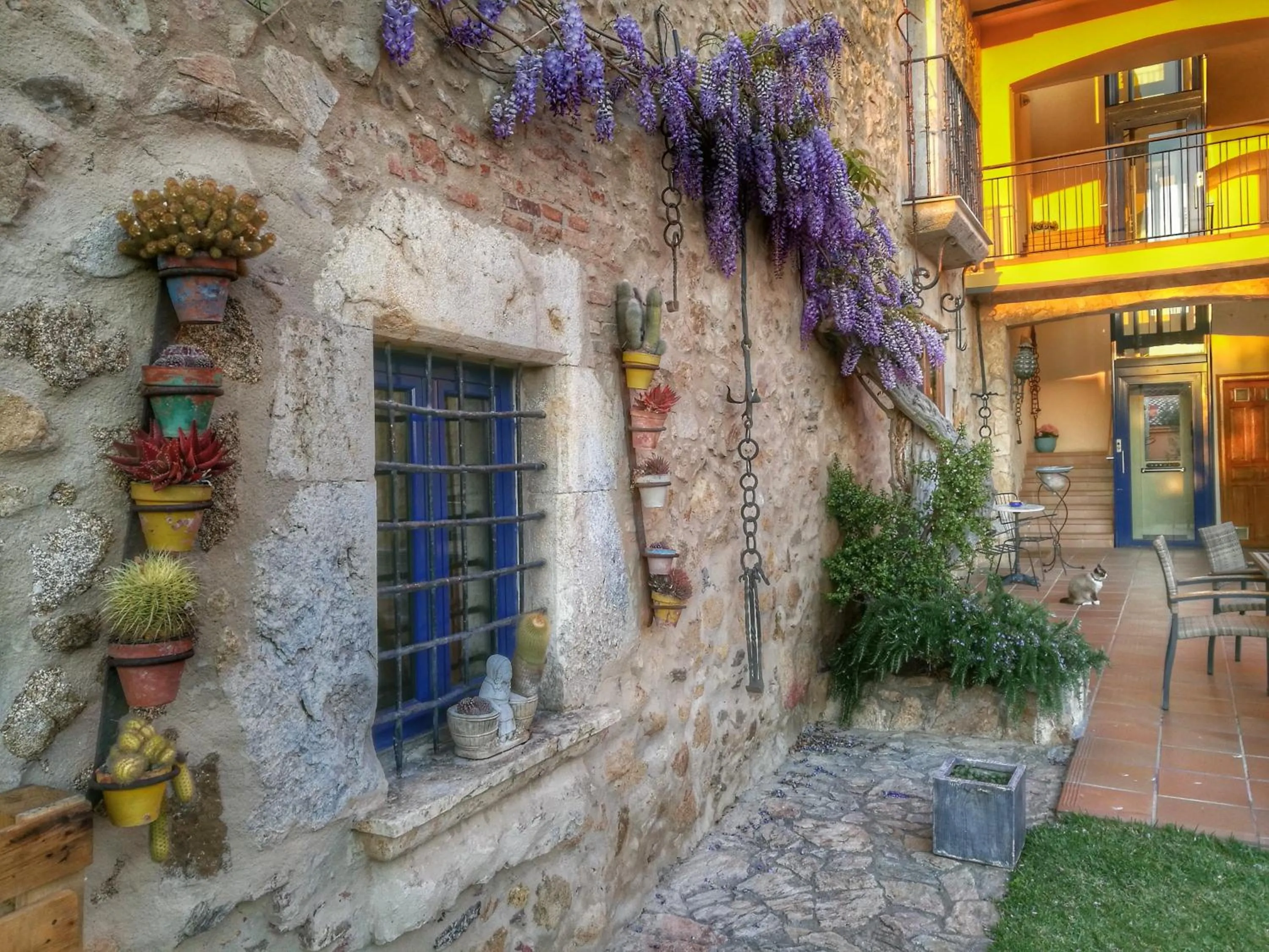 Garden in Hotel Sant Joan