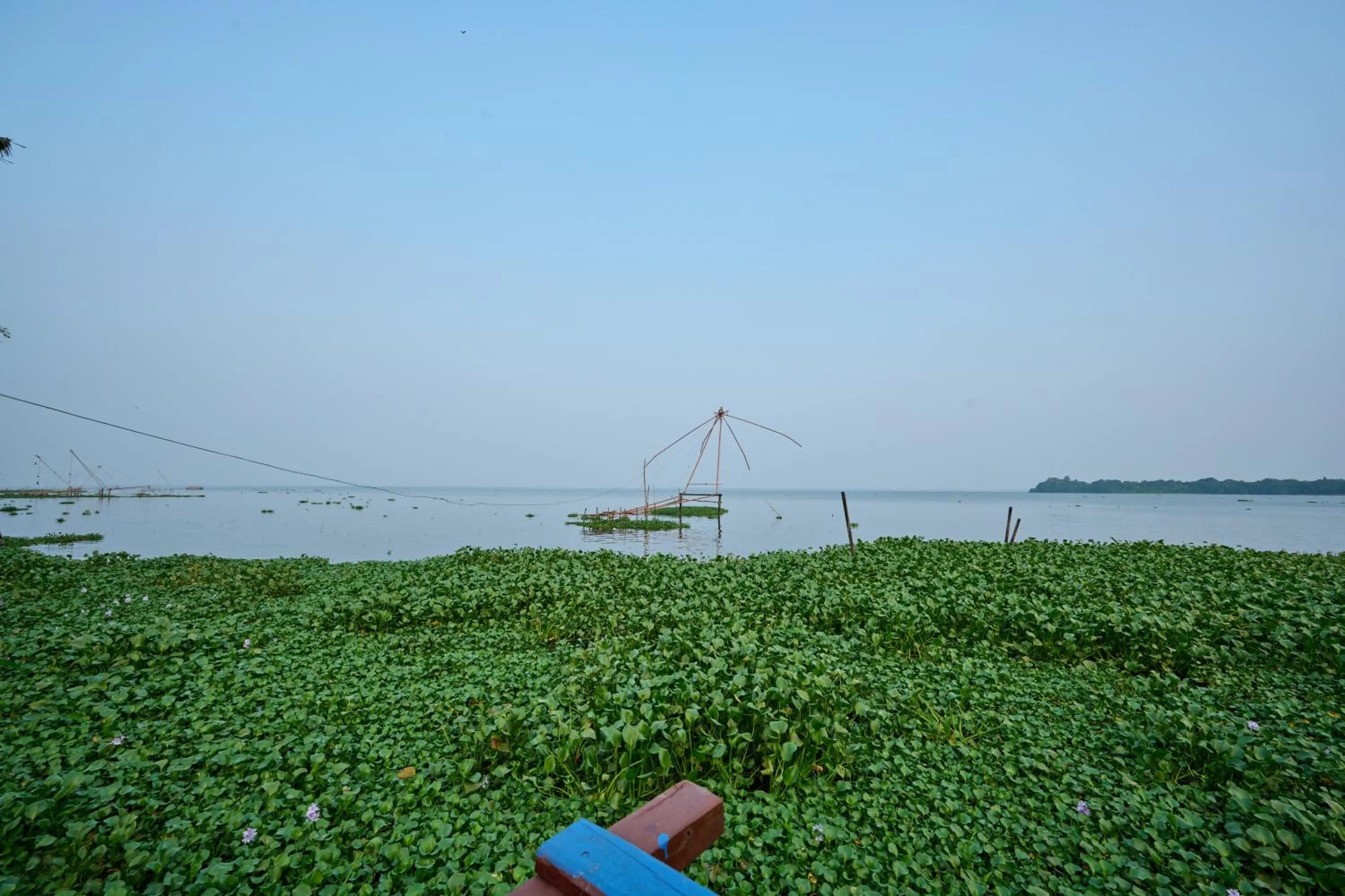 Lake view in Seclude by the Lake, Alleppey