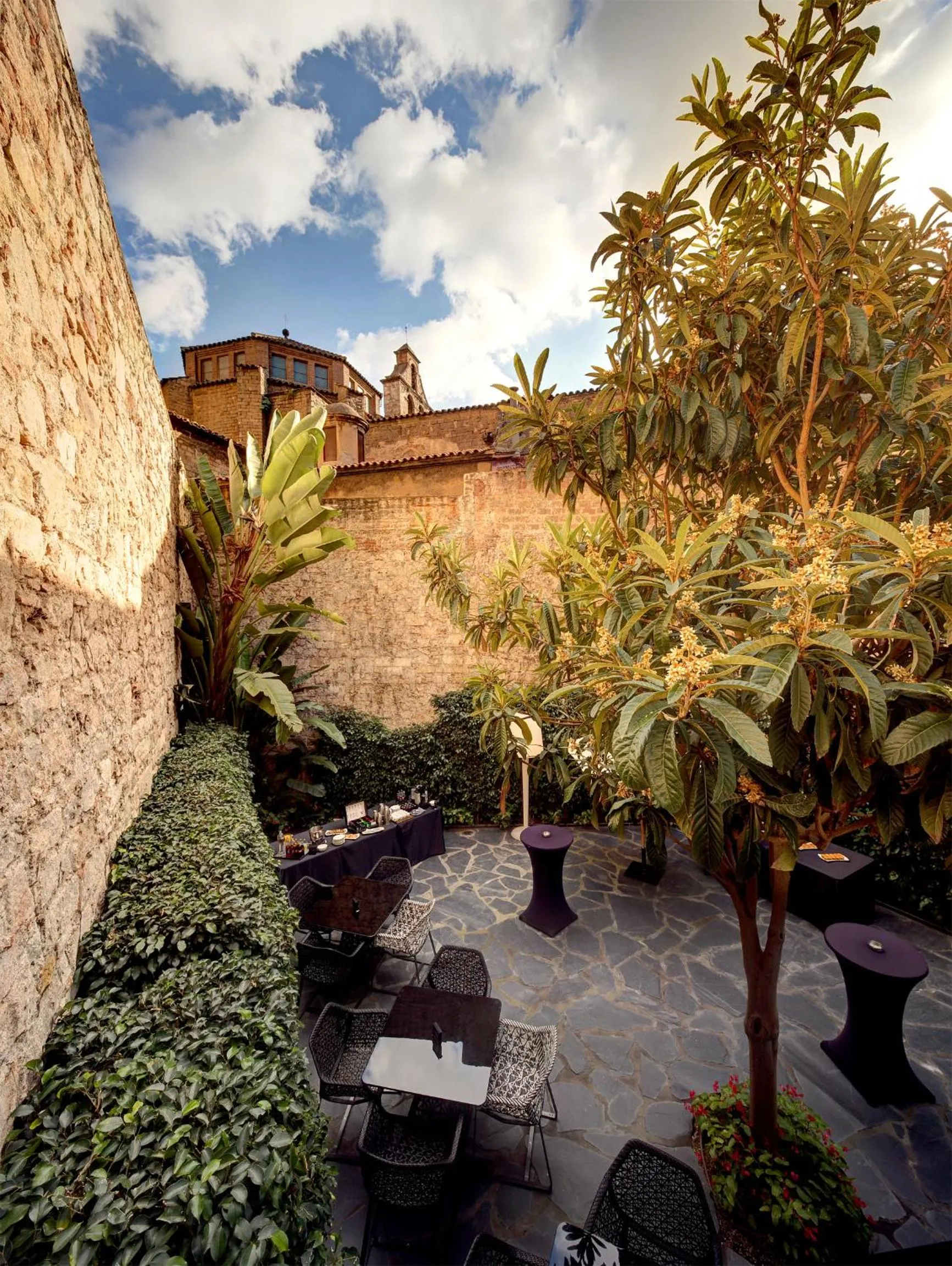 Restaurant/places to eat in Olivia Plaza Hotel