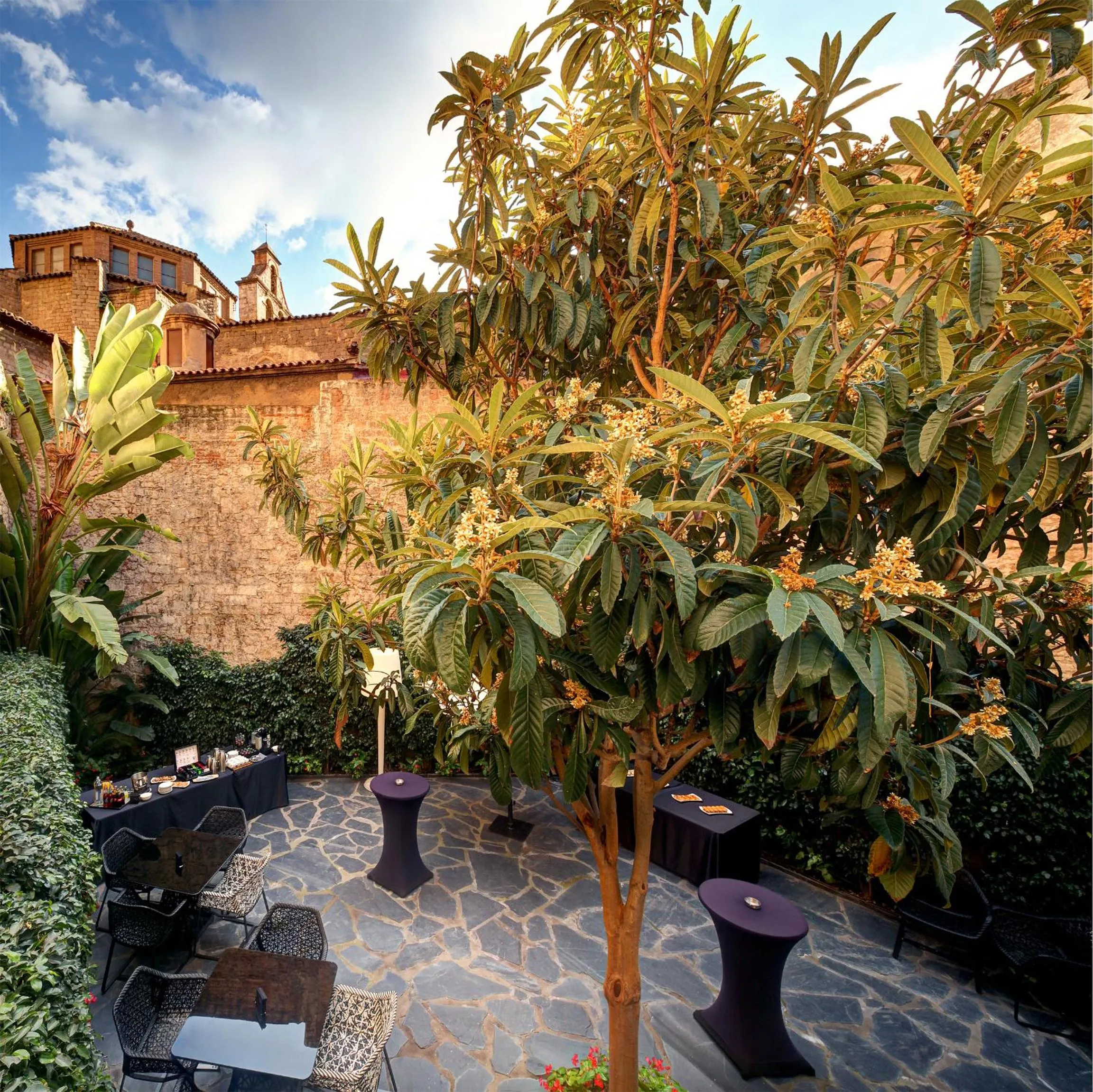 Garden in Olivia Plaza Hotel