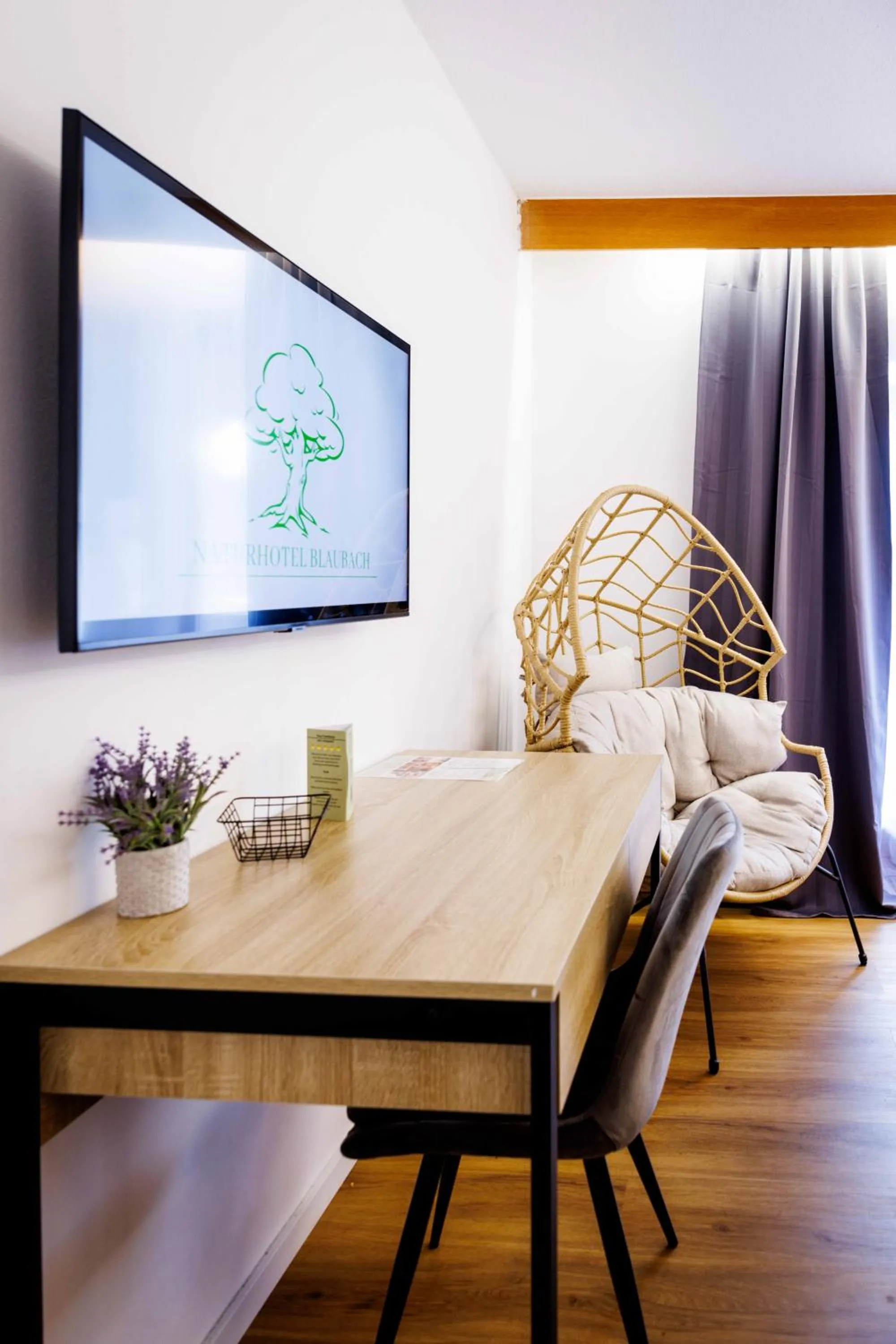 TV and multimedia in Naturhotel Blaubach