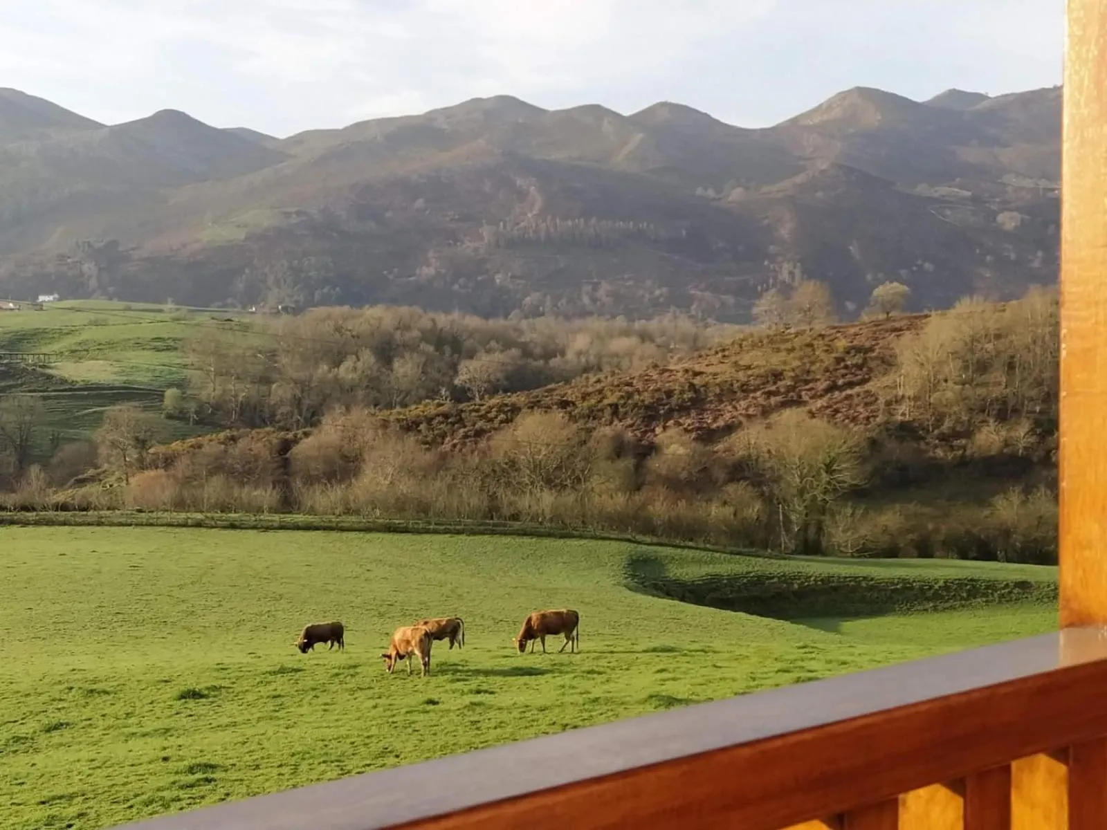 Mountain view in Hotel Puerta Del Oriente