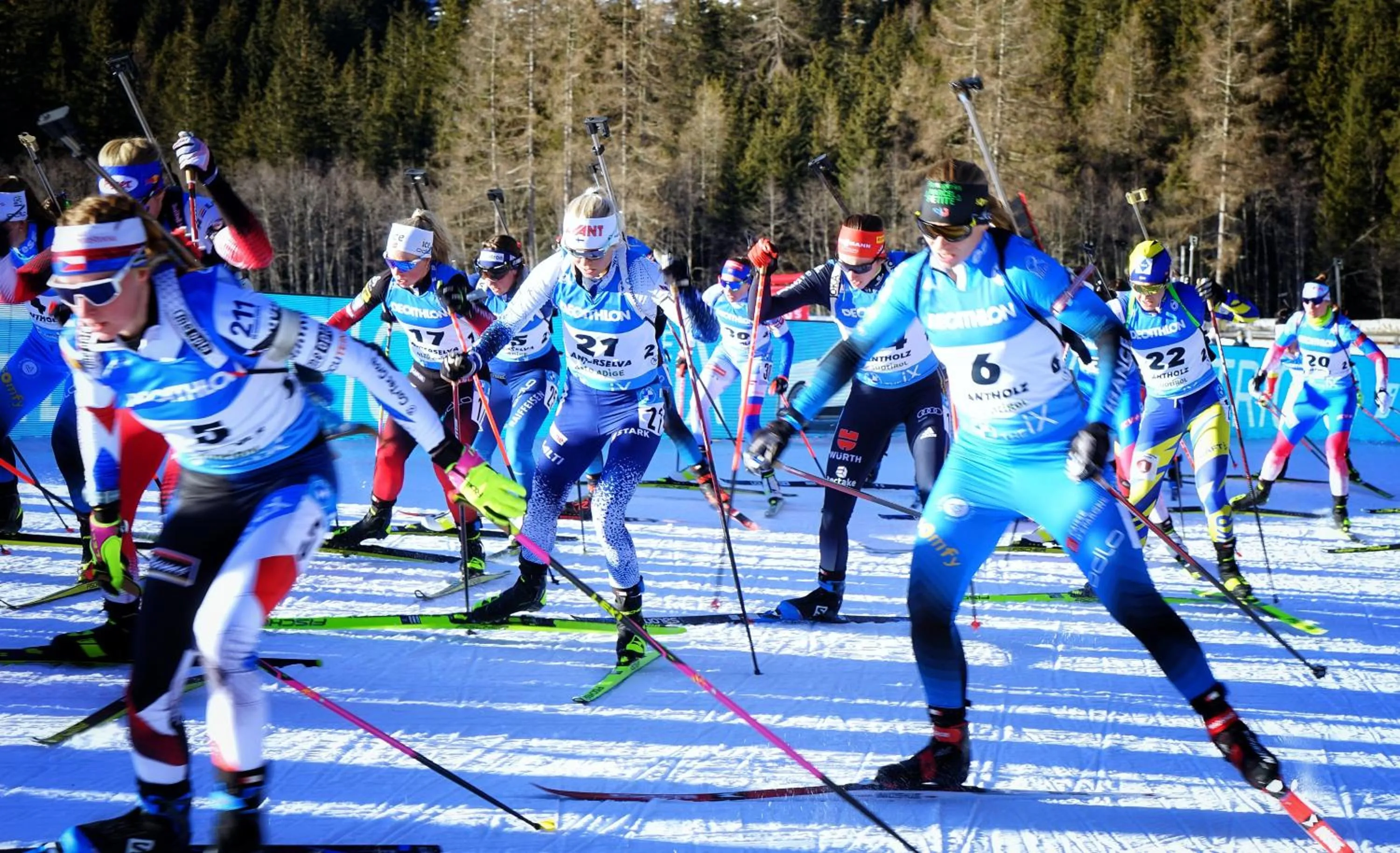 Day in Halbwöhrerhof