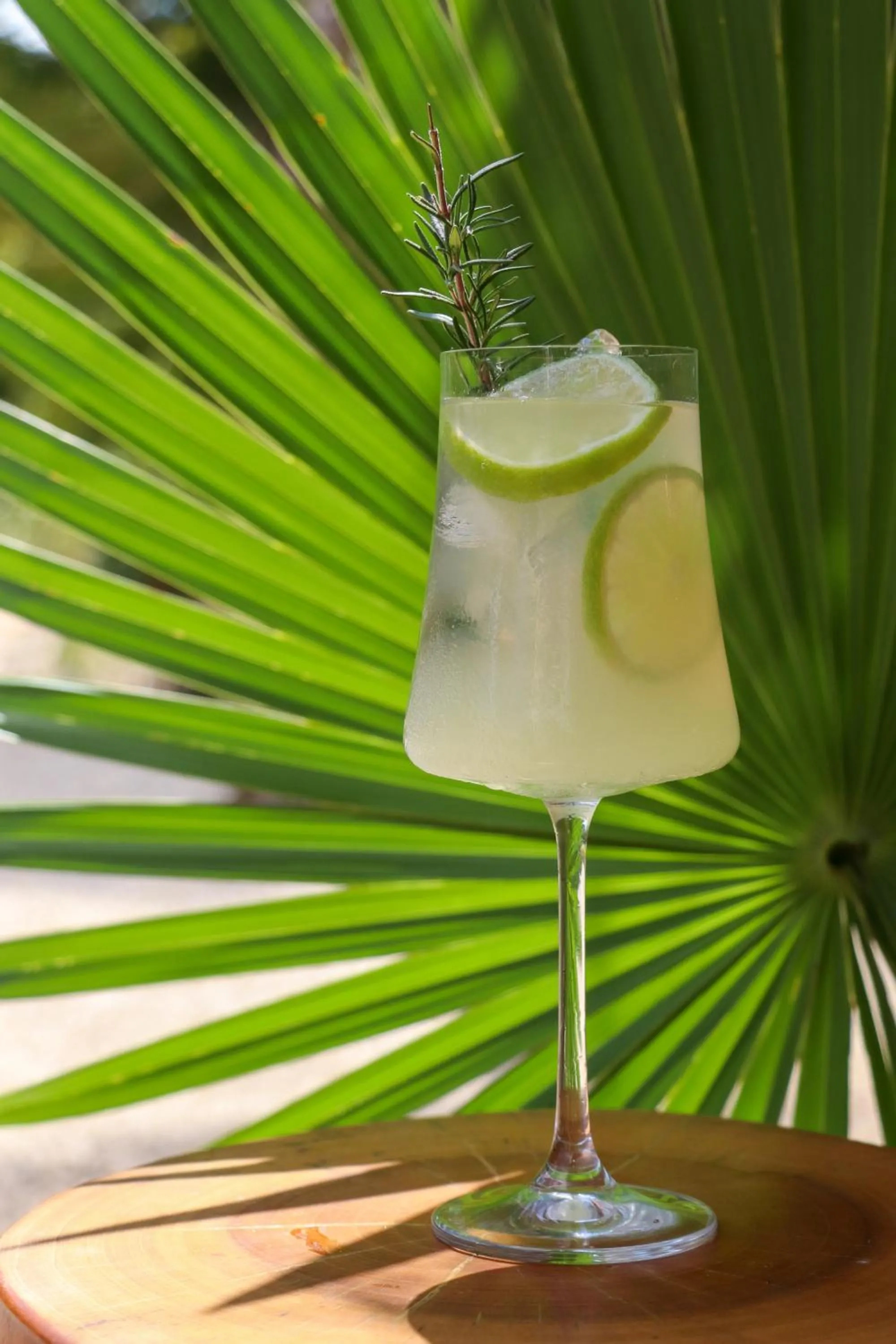 Drinks in Alma Maya Resort - Riviera Maya