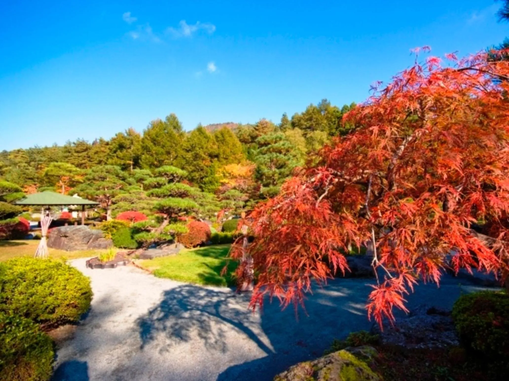 Garden in Kaneyamaen