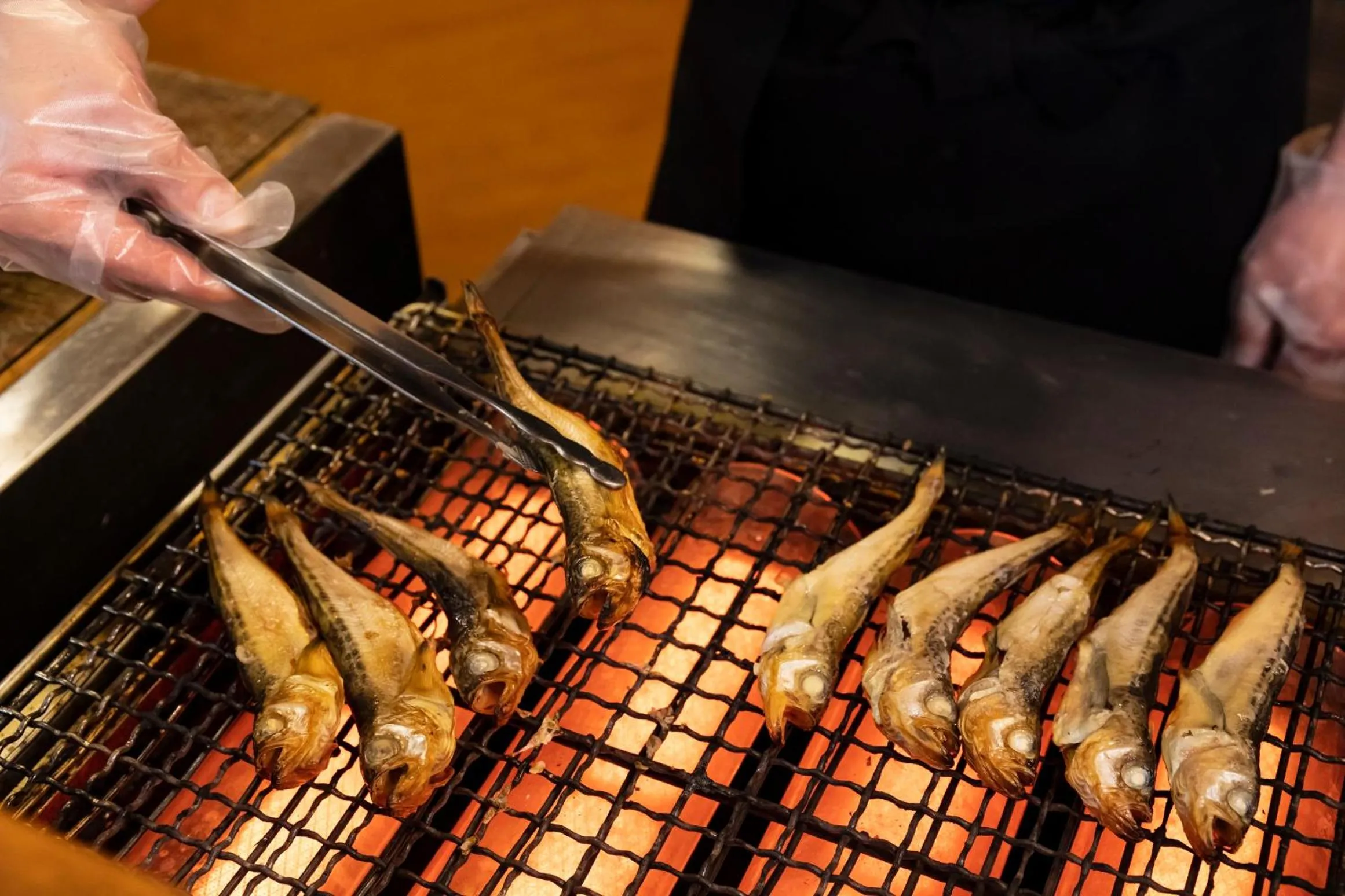 Kyukamura Echizen-Mikuni