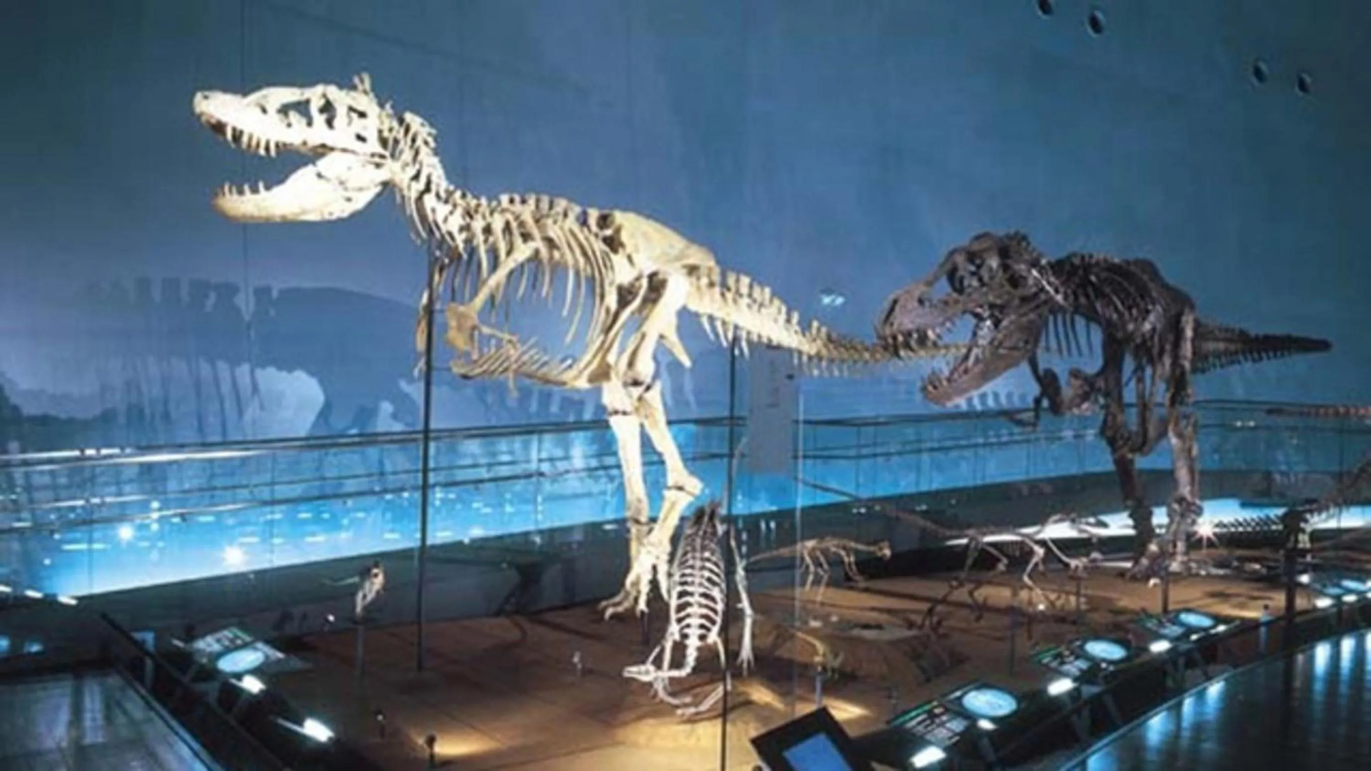 Kyukamura Echizen-Mikuni