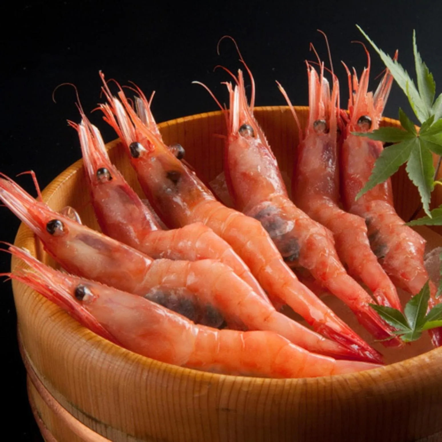 Kyukamura Echizen-Mikuni