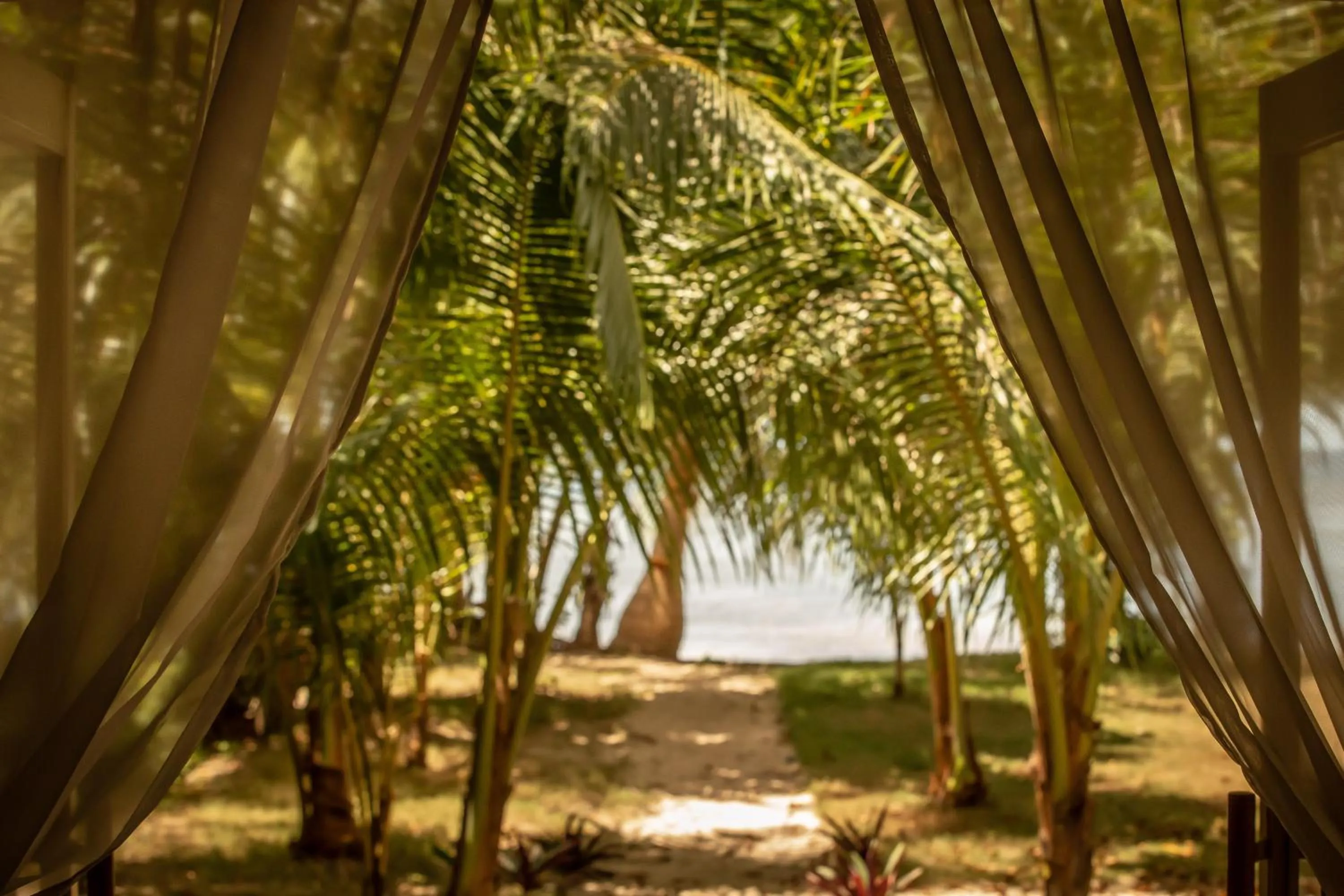 Sea view in The Beach House Ocam Ocam