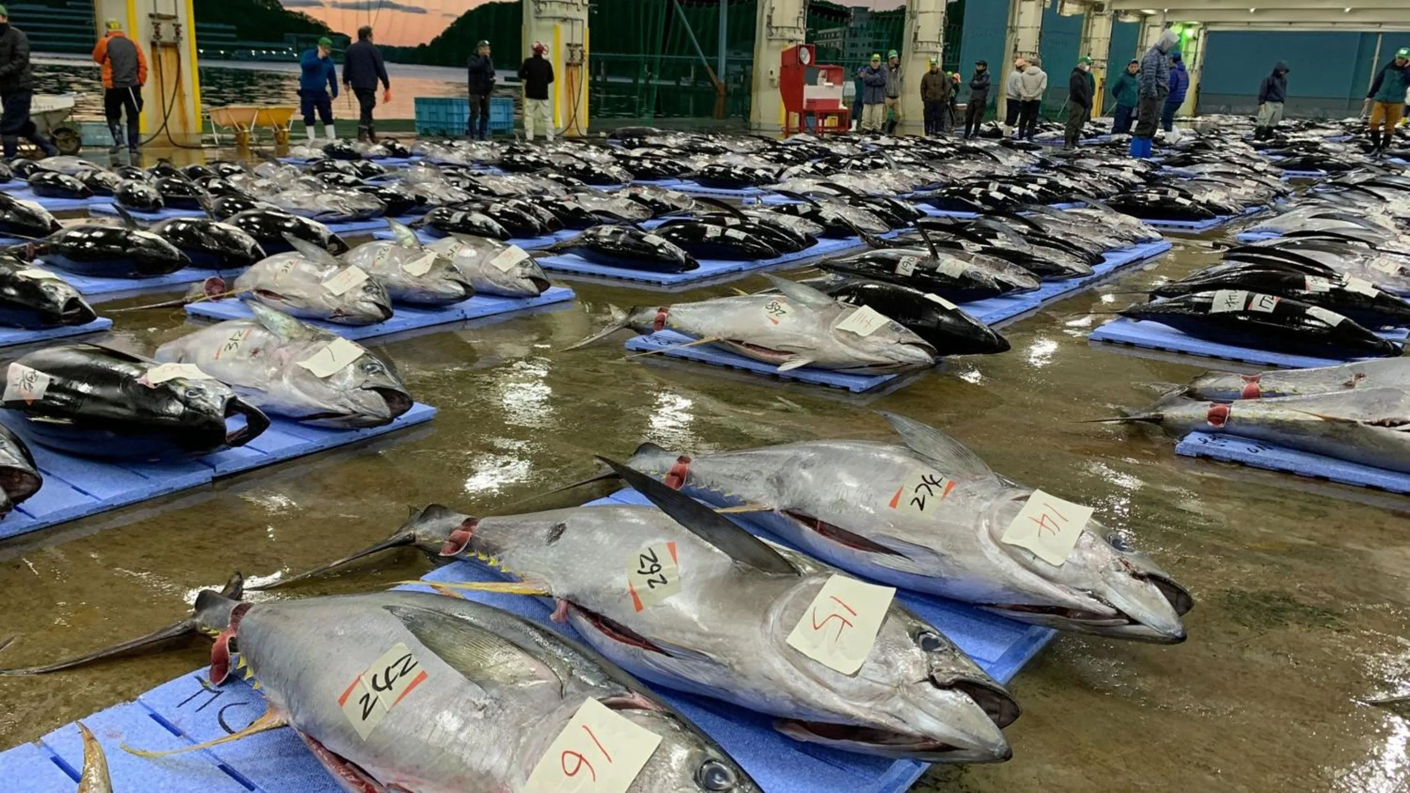 Kyukamura Nanki-Katsuura