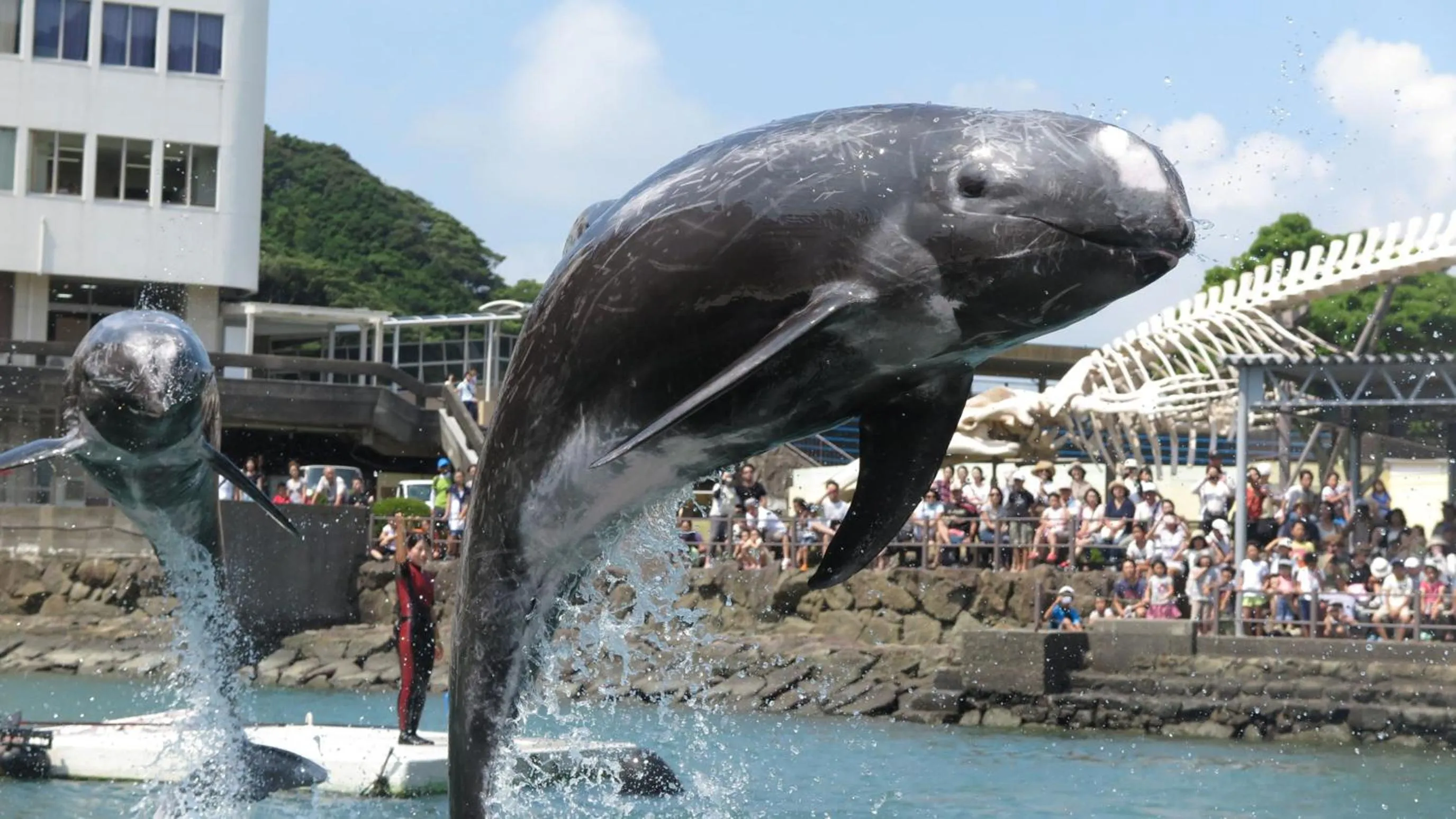 Kyukamura Nanki-Katsuura