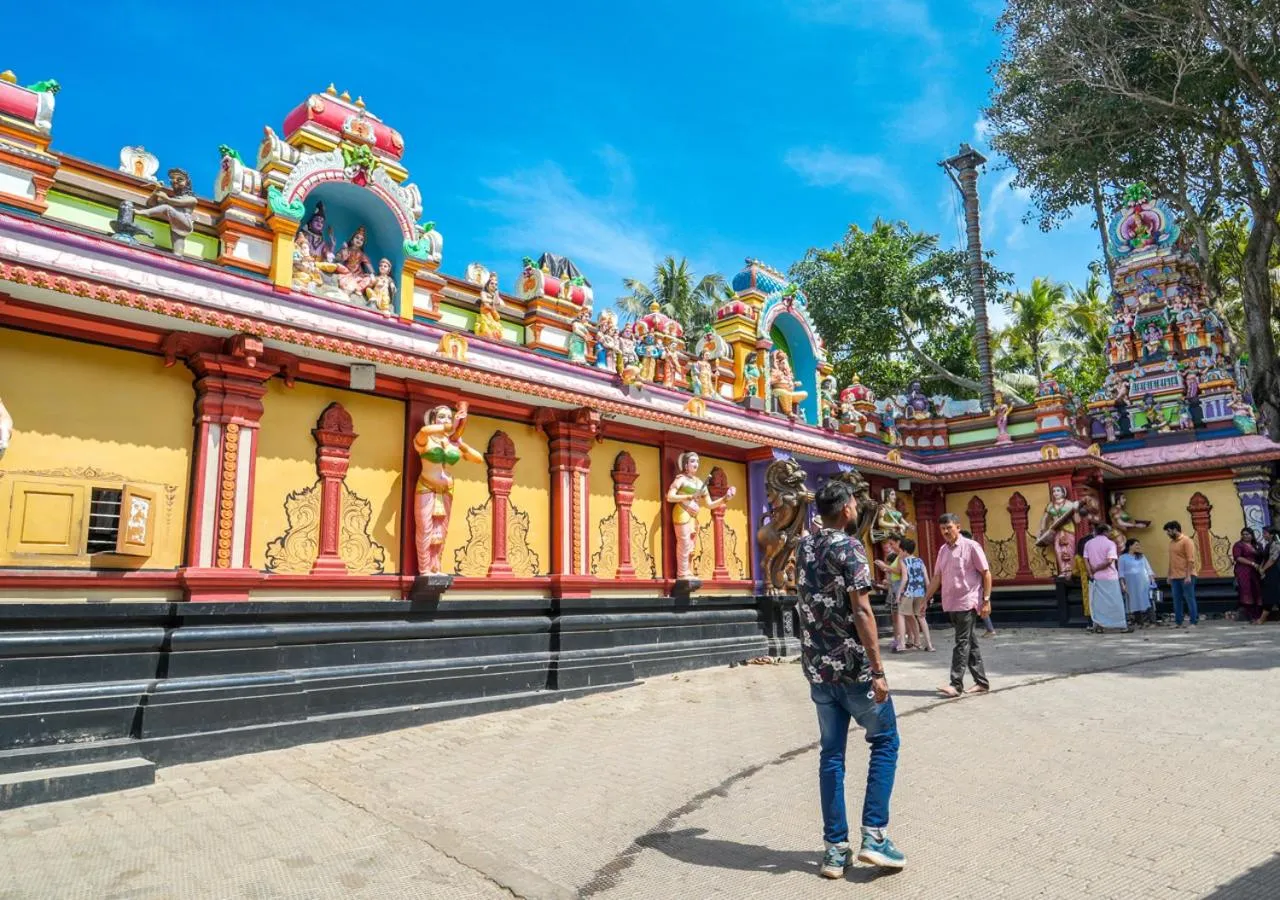 Natural landscape in Pop Tavern Private Pool Villa Kovalam by VOYE HOMES