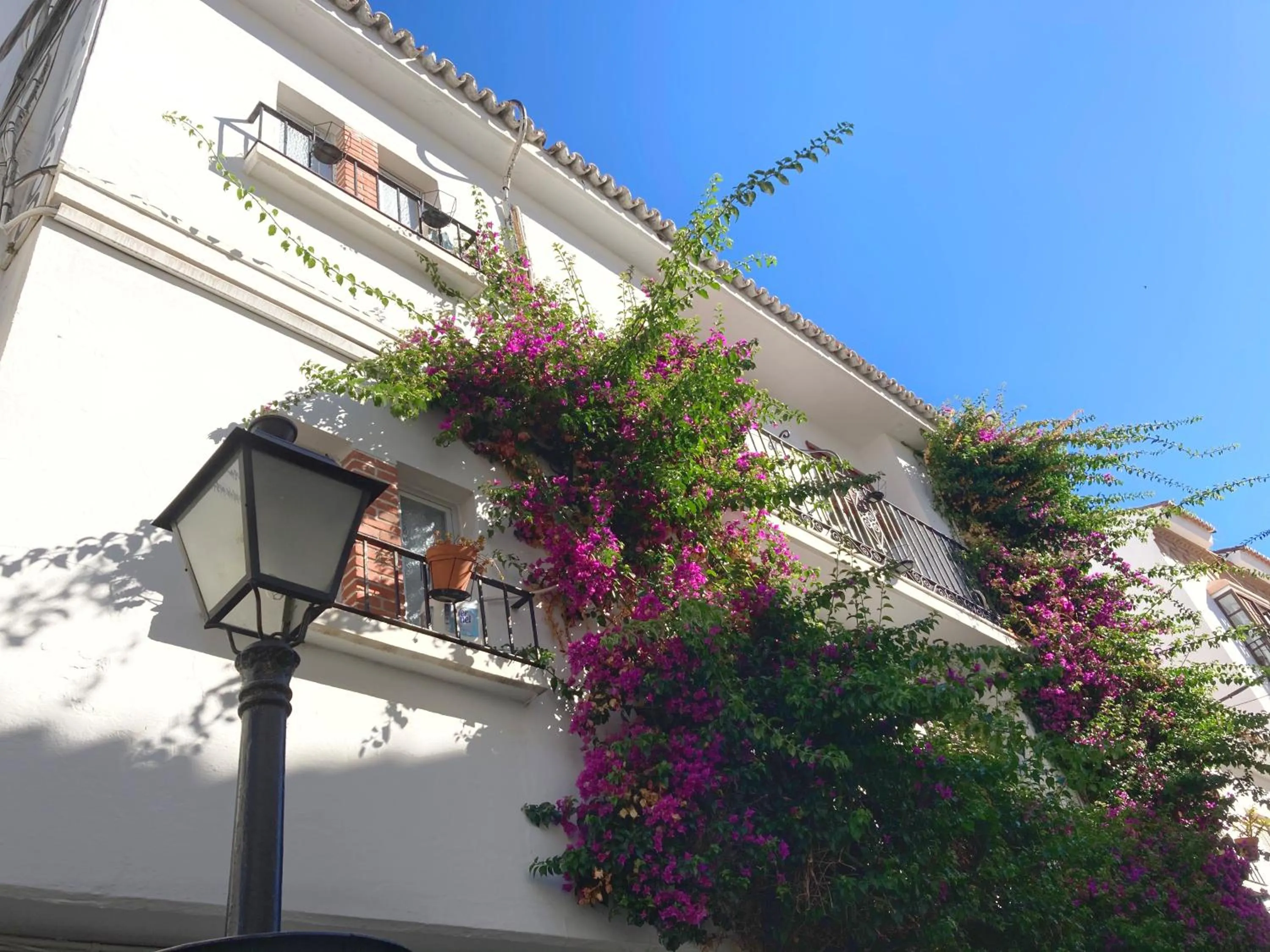 Property building in Hostal Paco Marbella