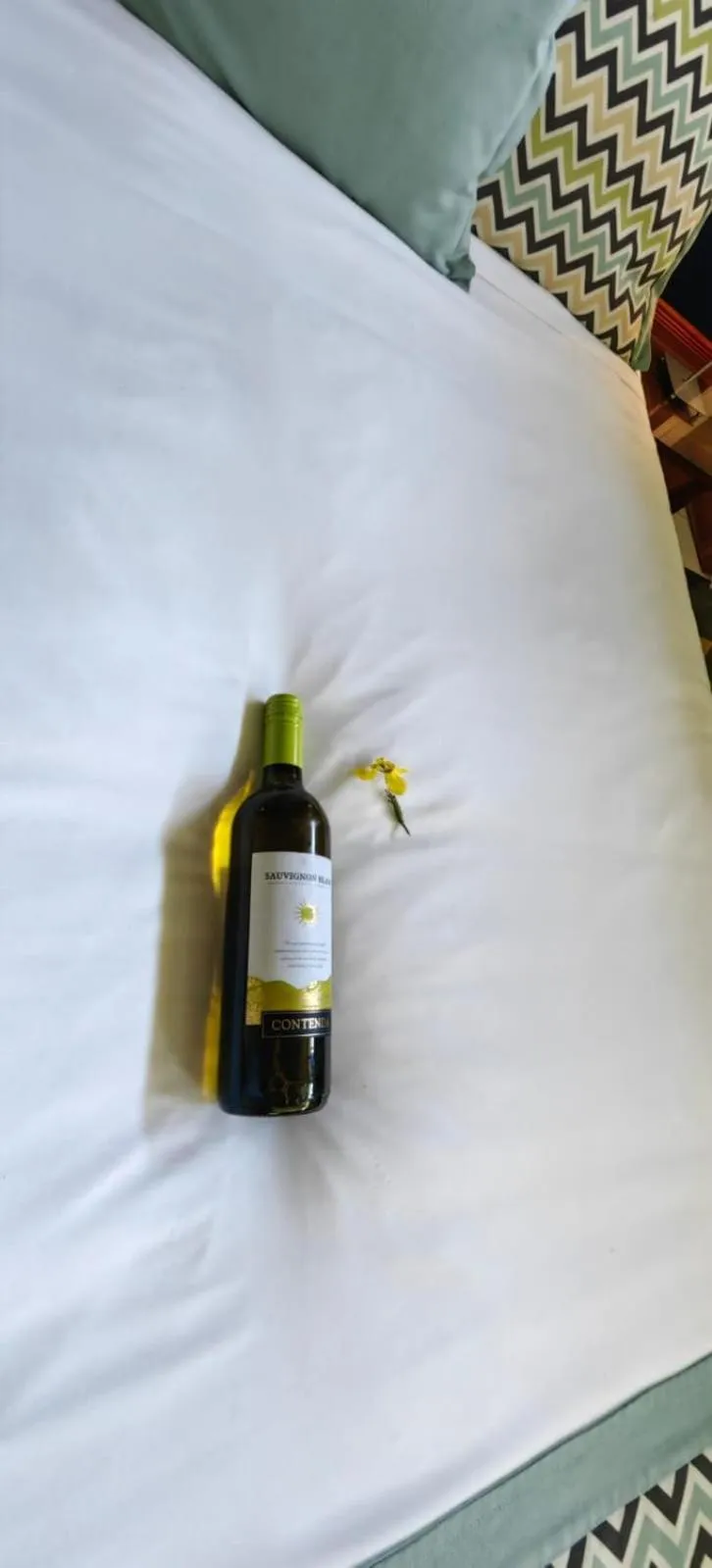 Bed in Chirripo Art Hotel